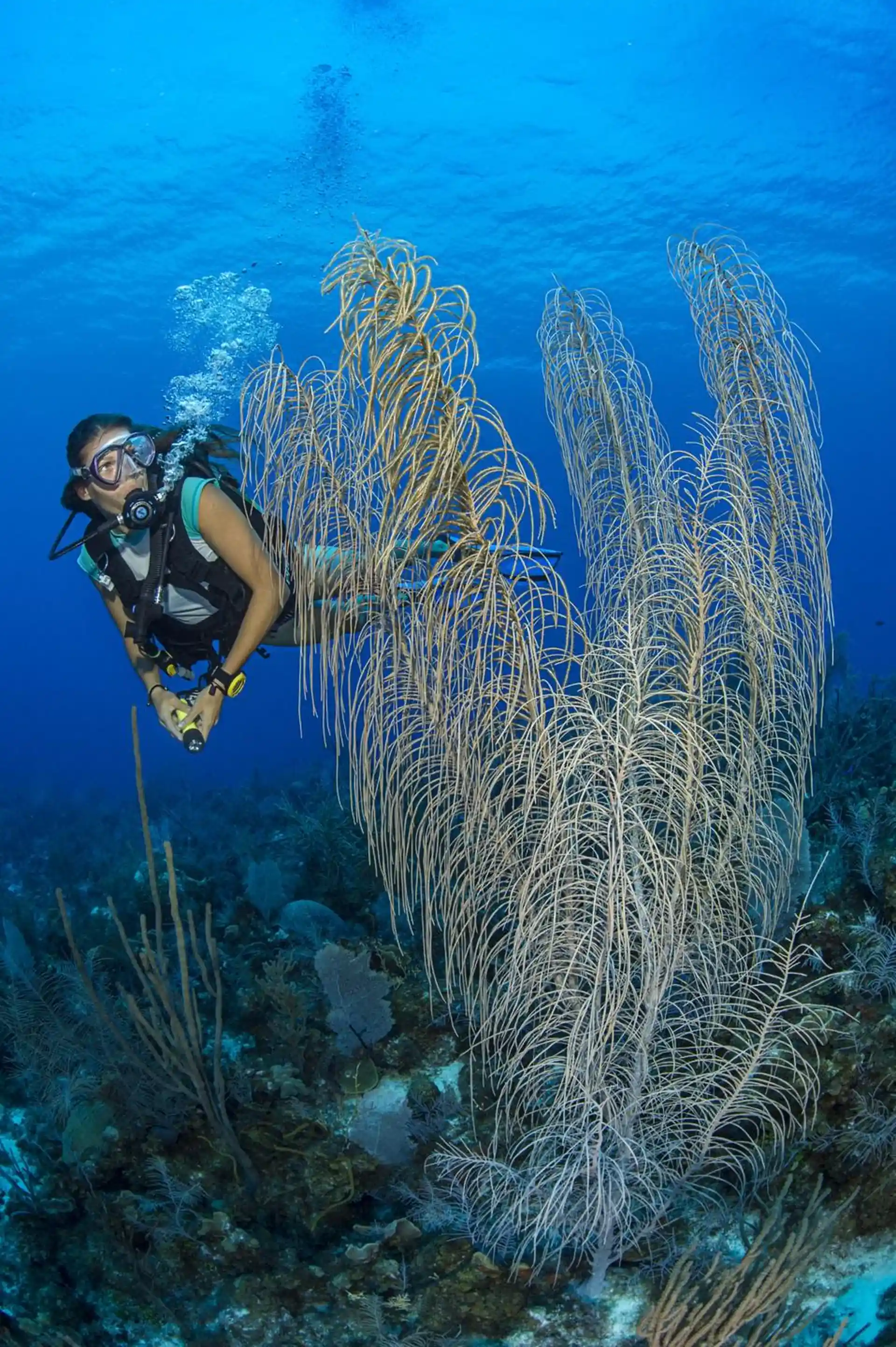 Dive site photo