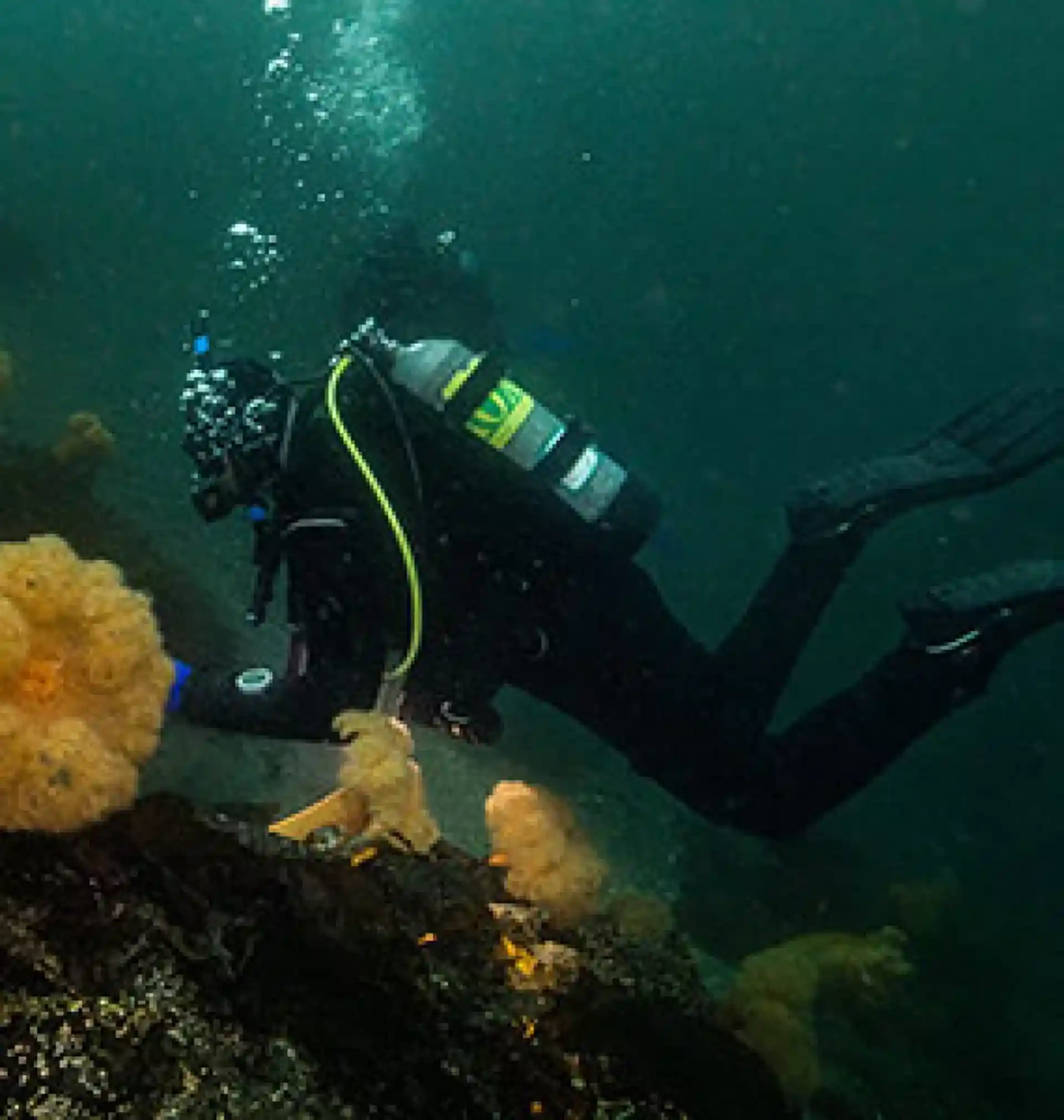 Dive site photo