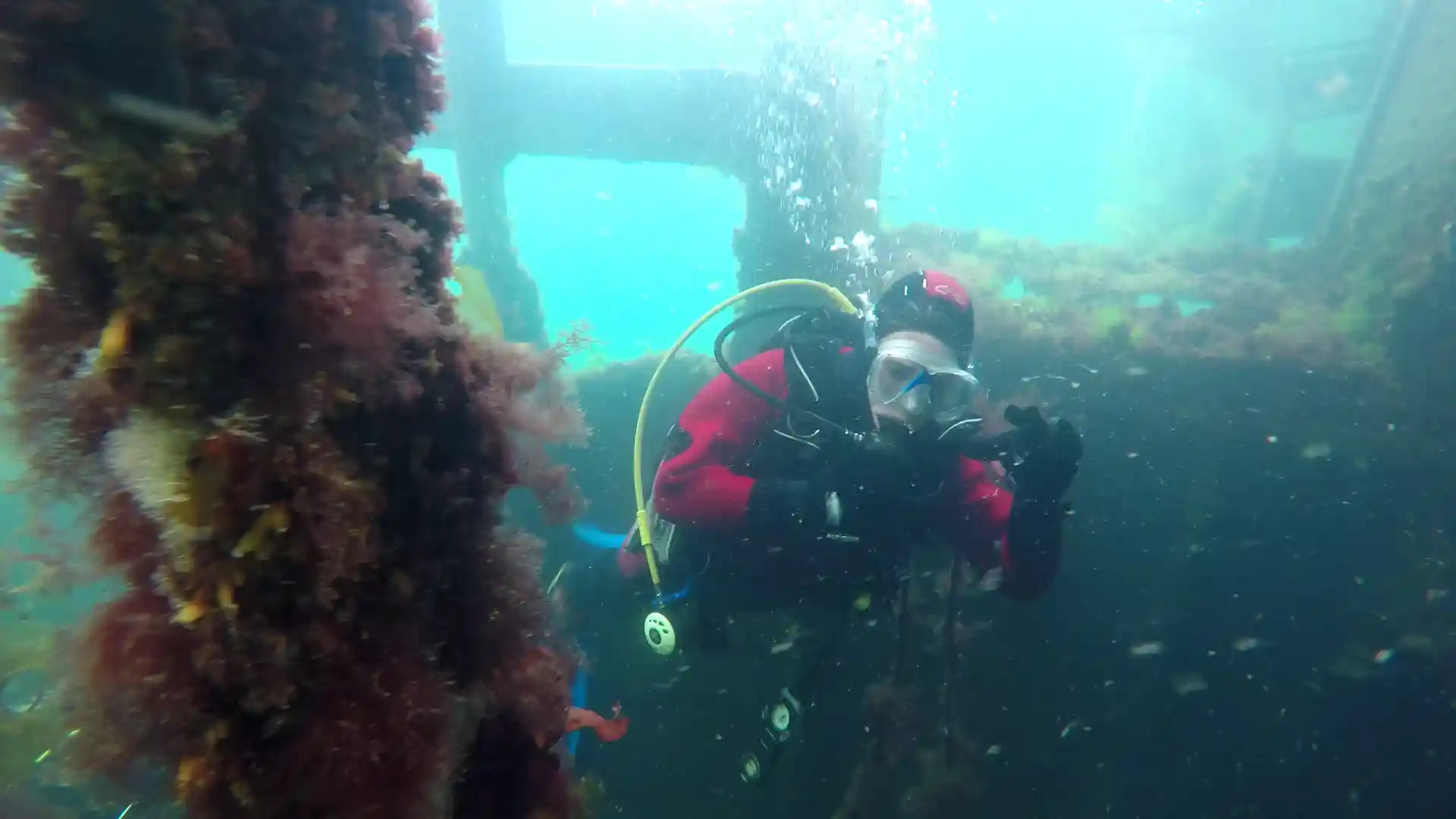 ダイビングサイトの写真