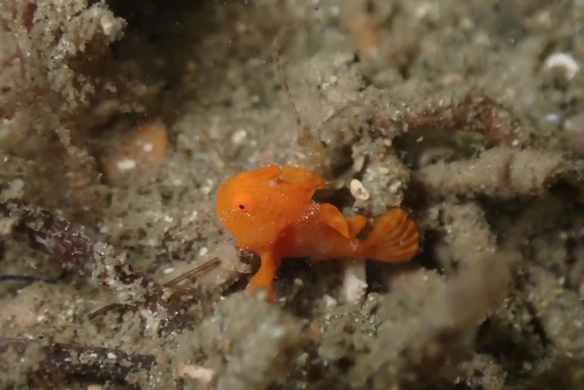 Dive site photo