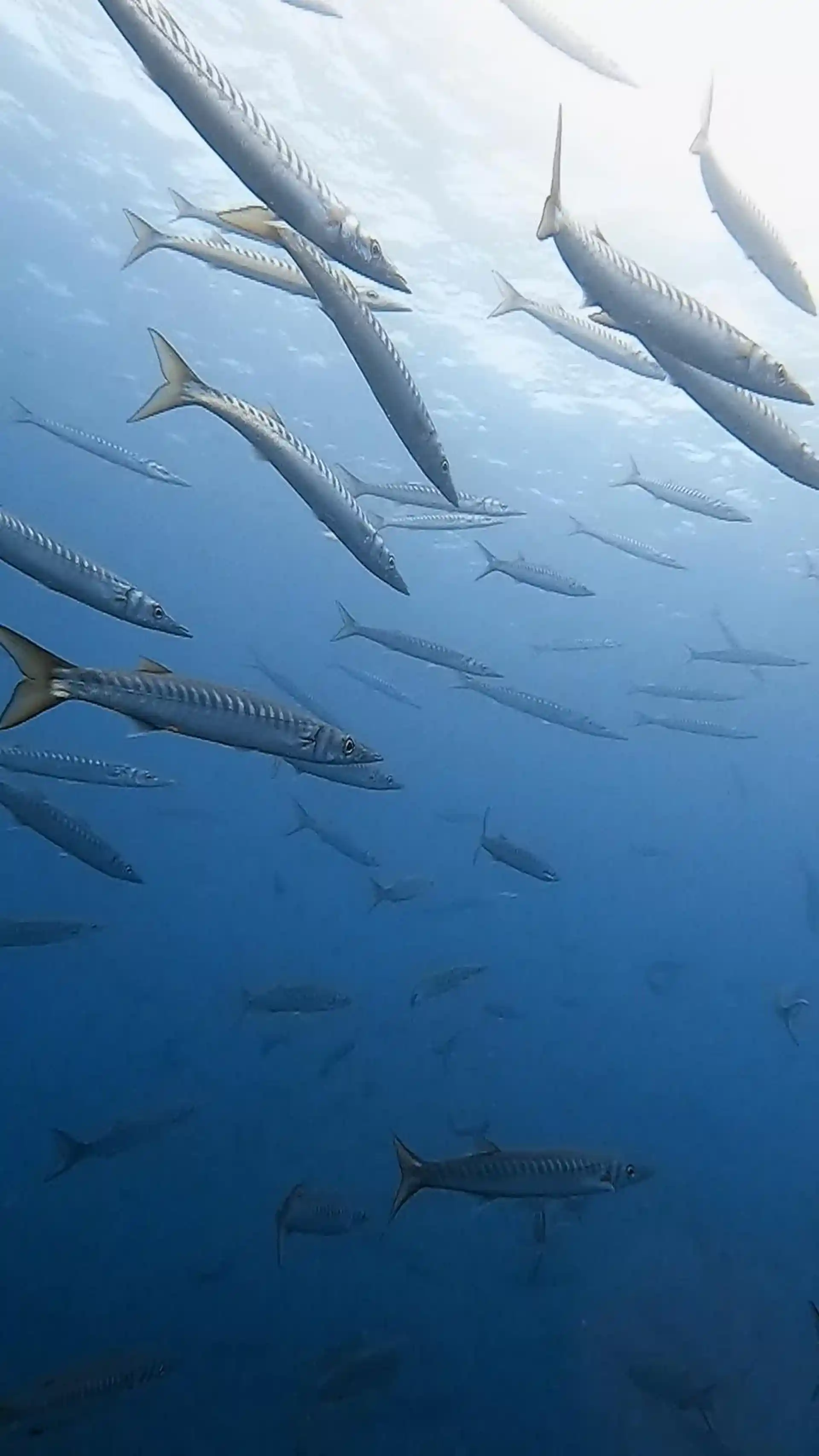 Dive site photo