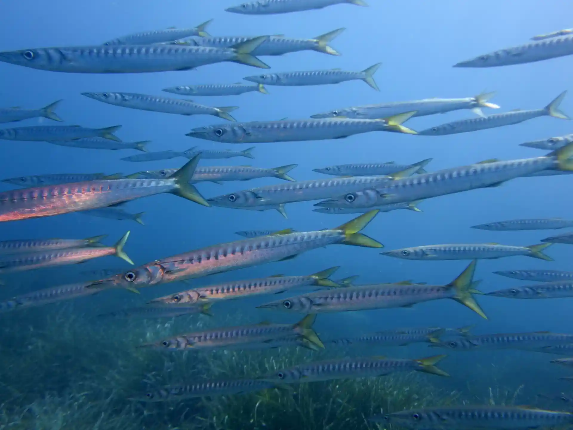 Photo de l'activité