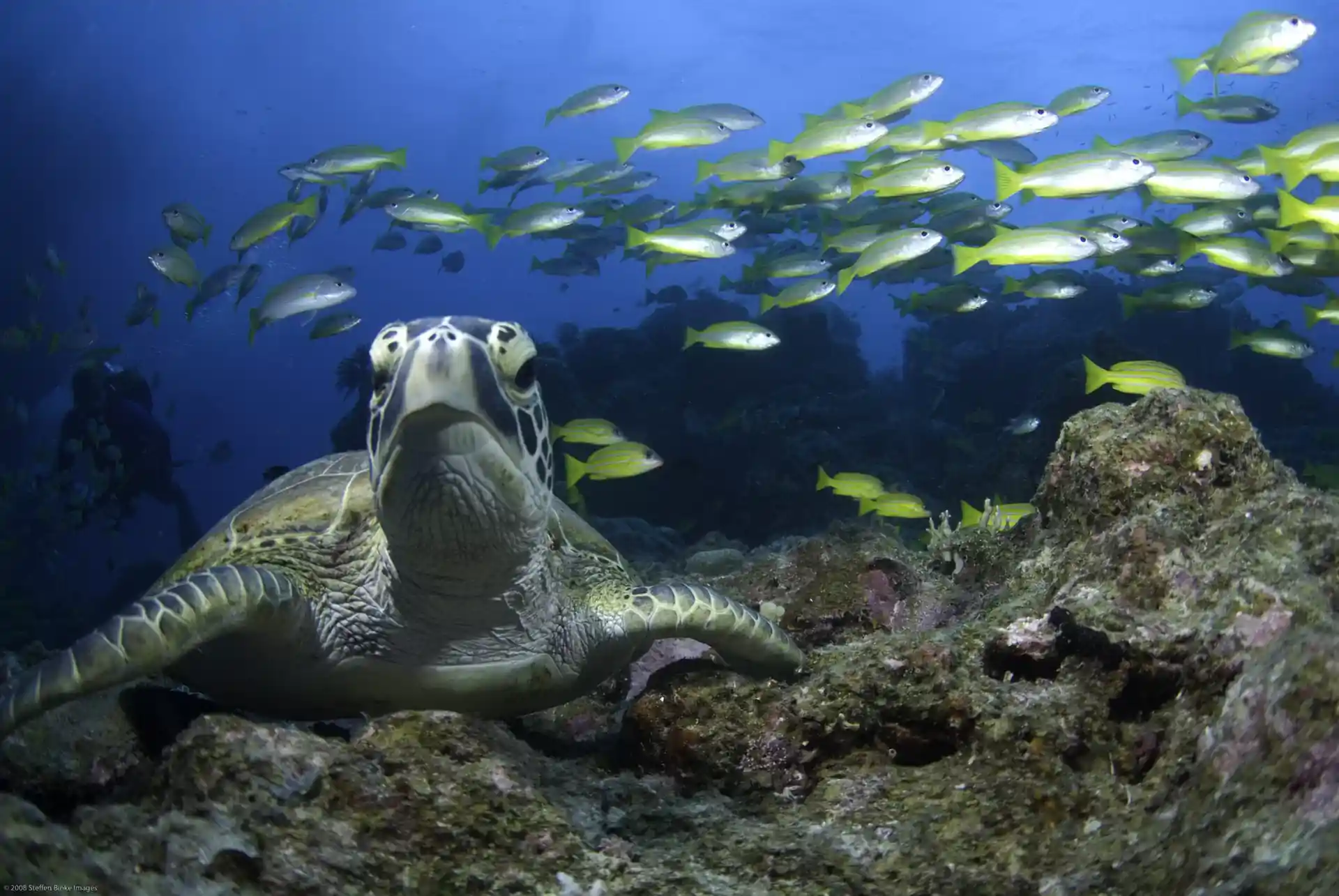 Dive site photo