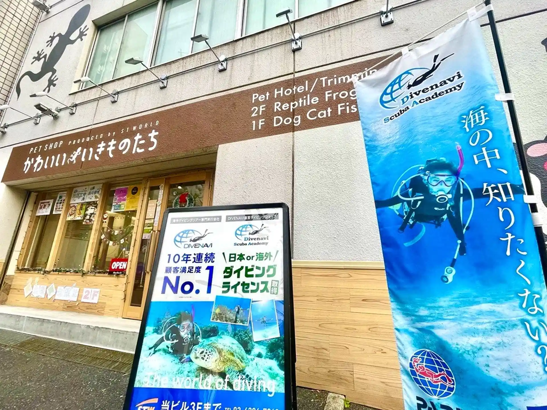 Dive shop photo