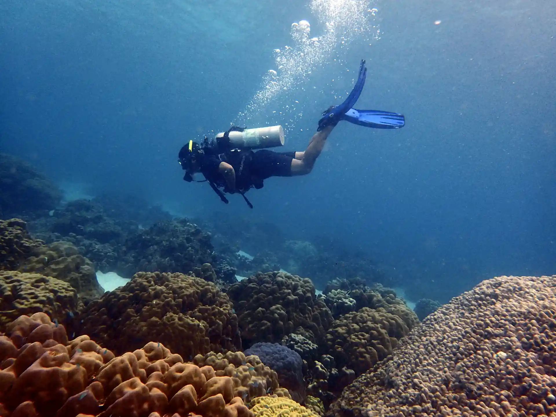 Photo de l'activité