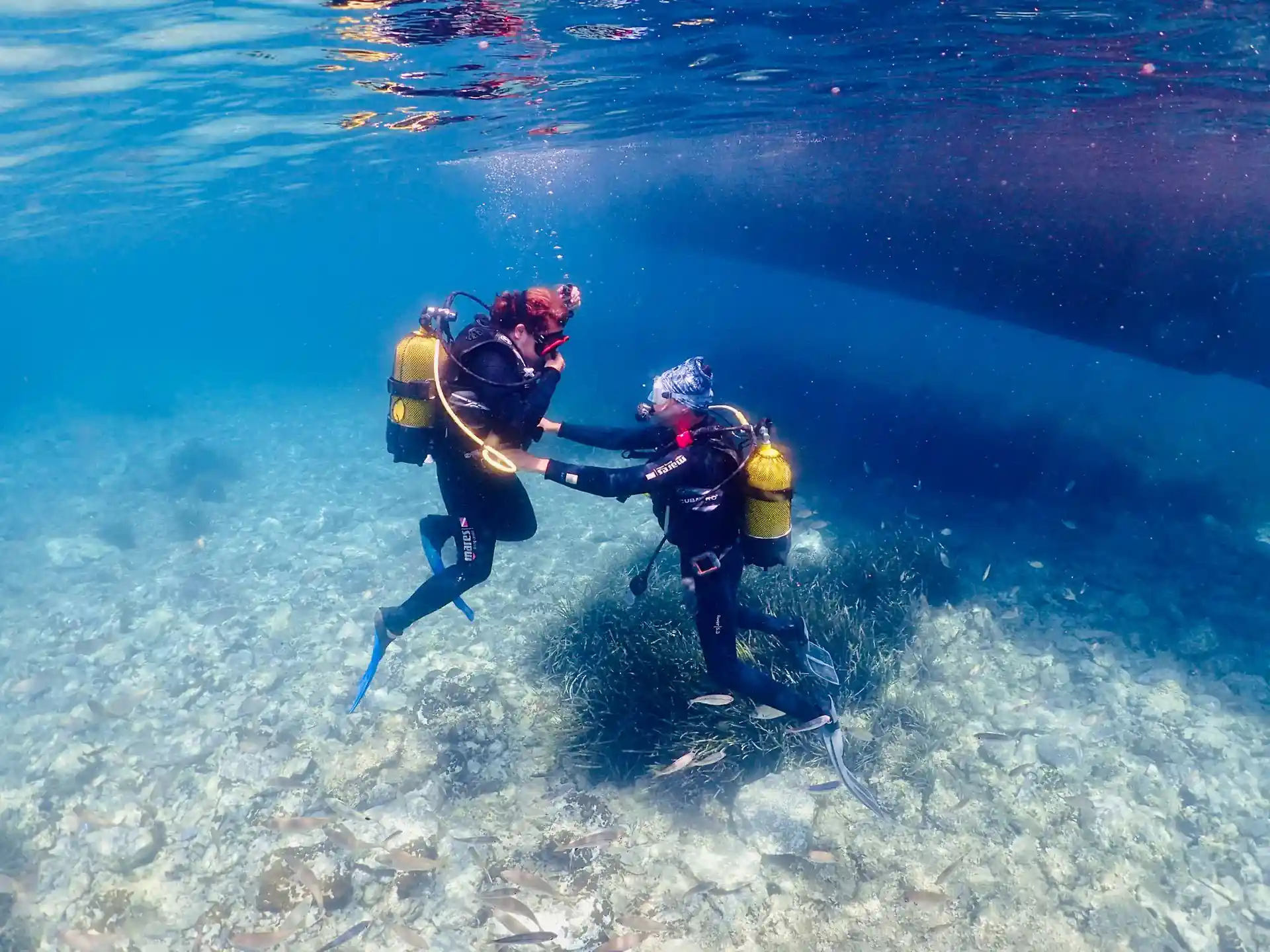 Dive shop photo