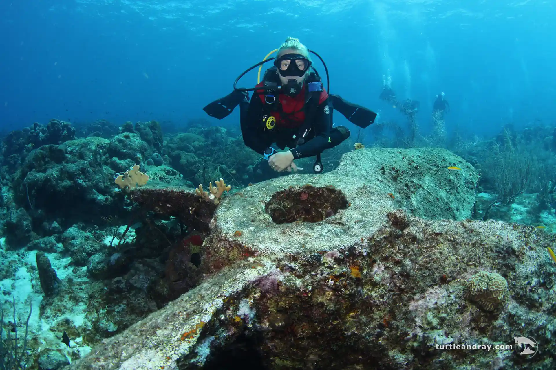 Dive site photo