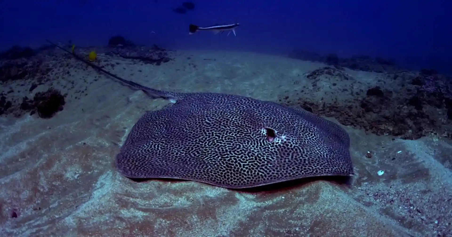 Dive site photo