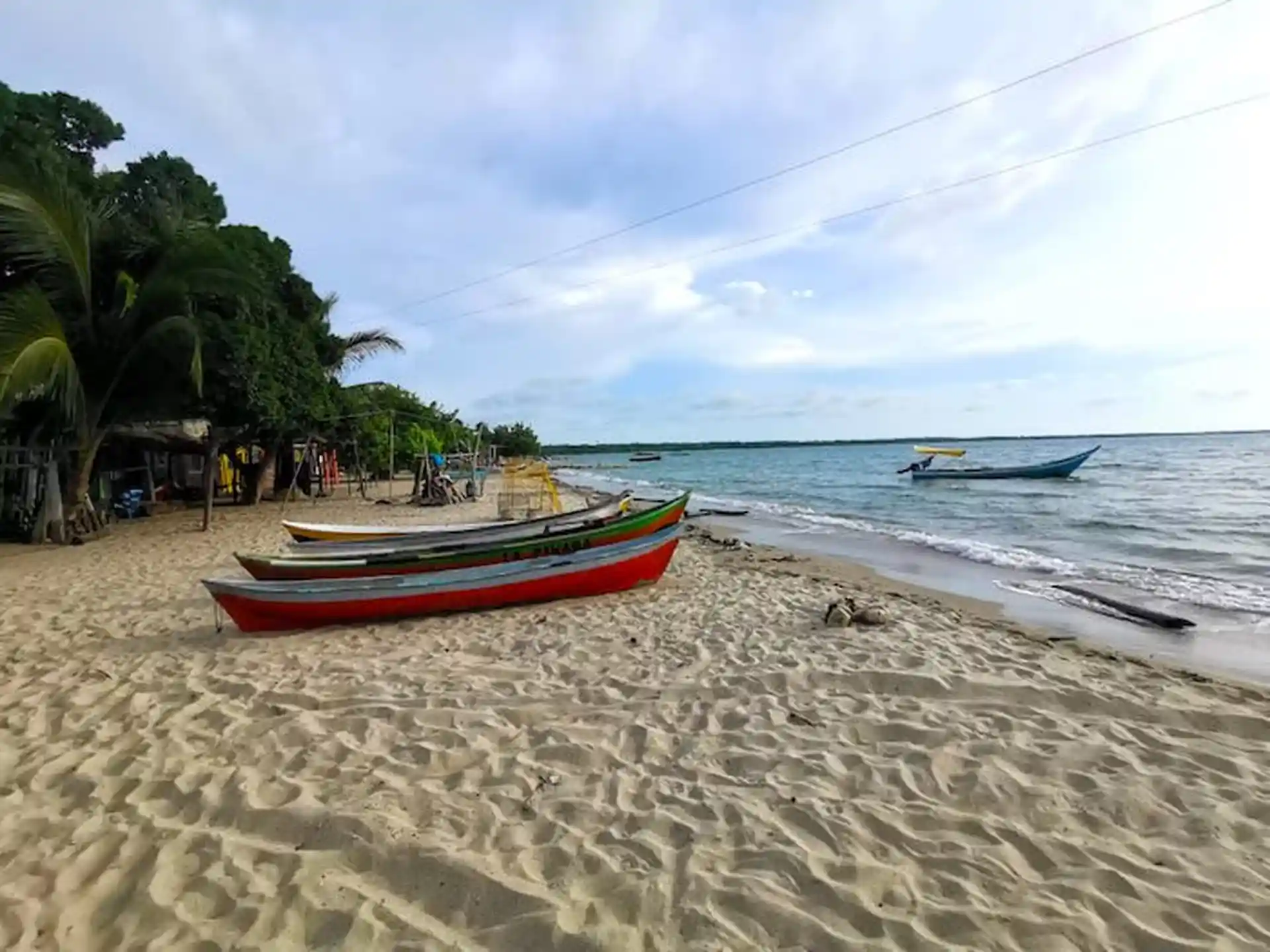 Foto de la actividad
