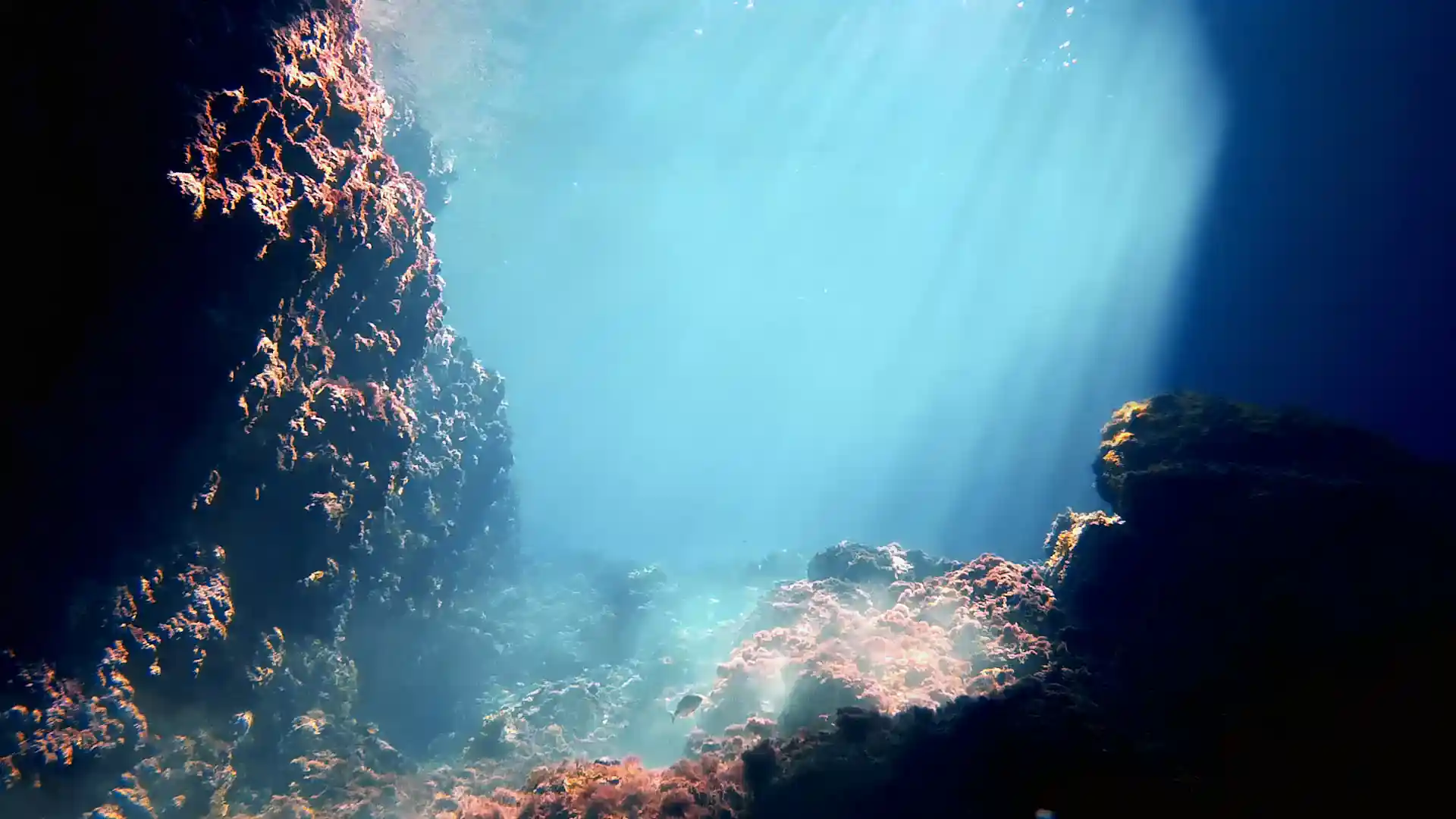 ダイビングサイトの写真