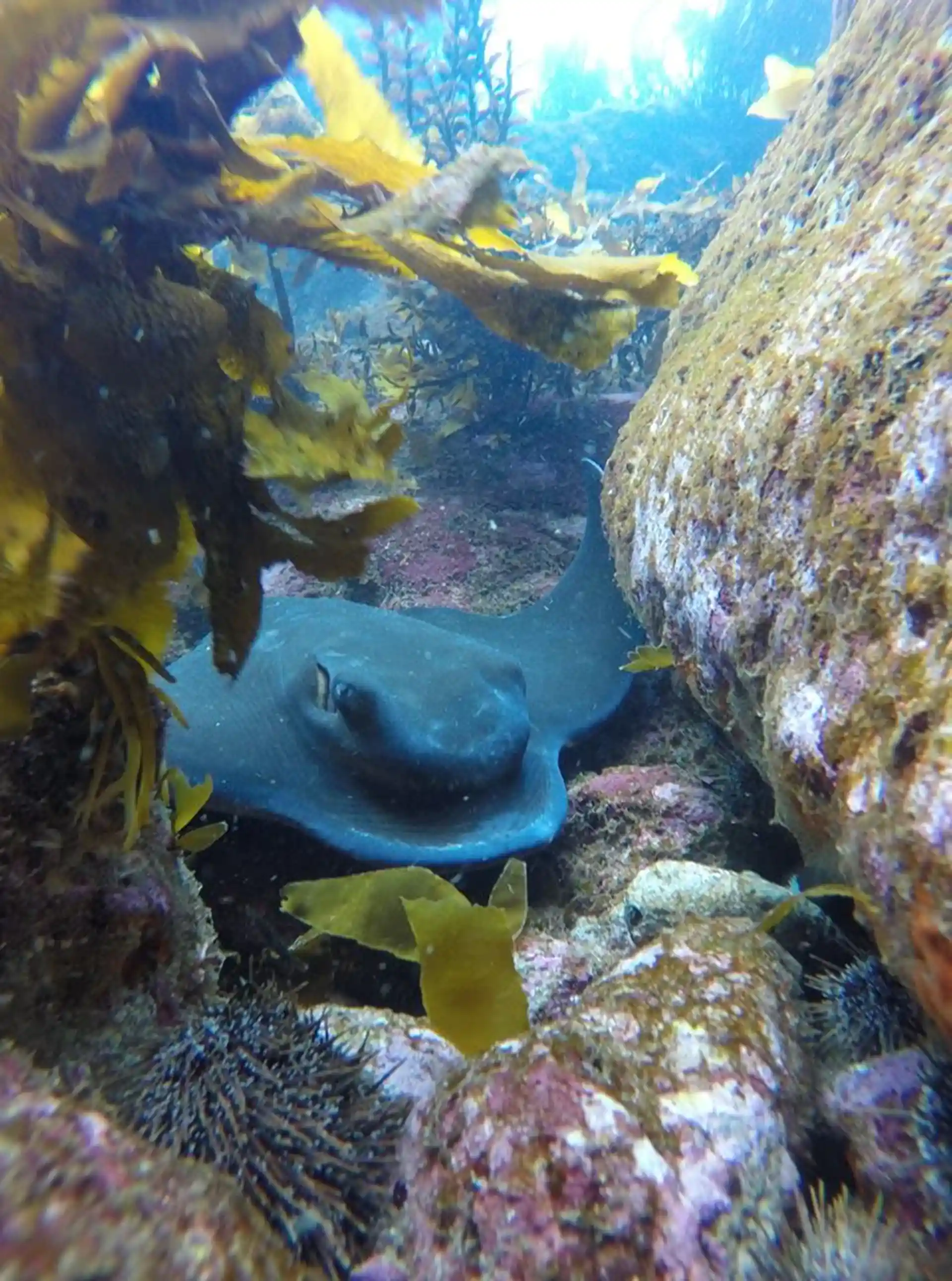 Dive site photo