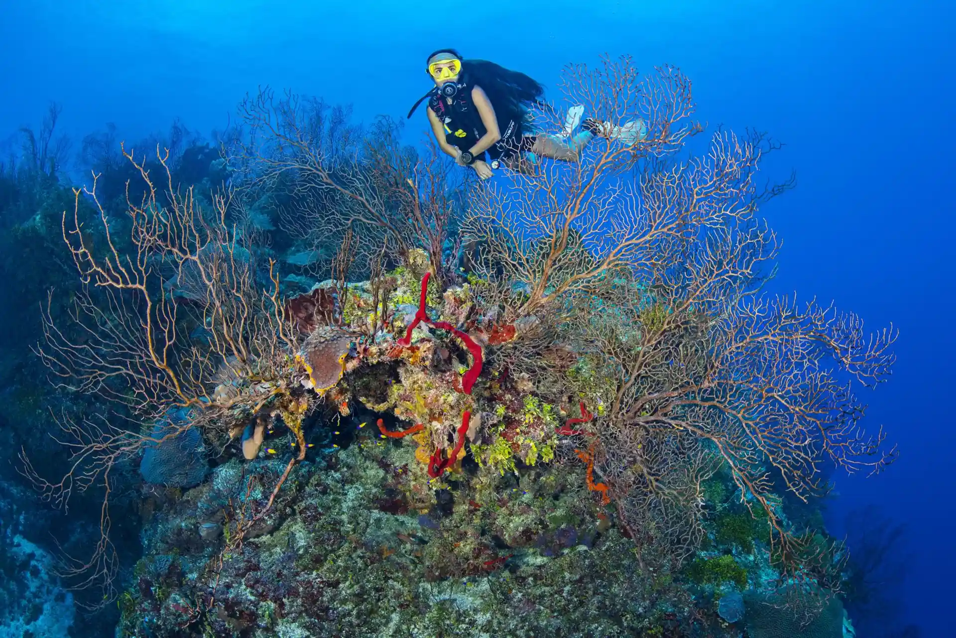 Dive site photo