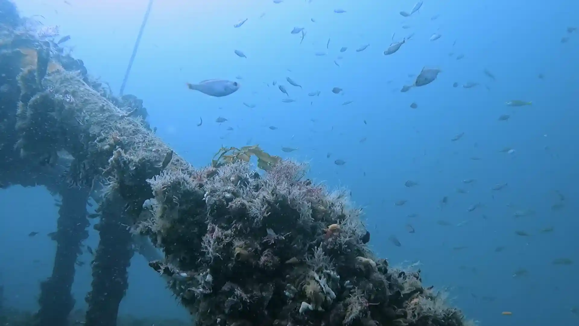 다이빙 포인트 사진