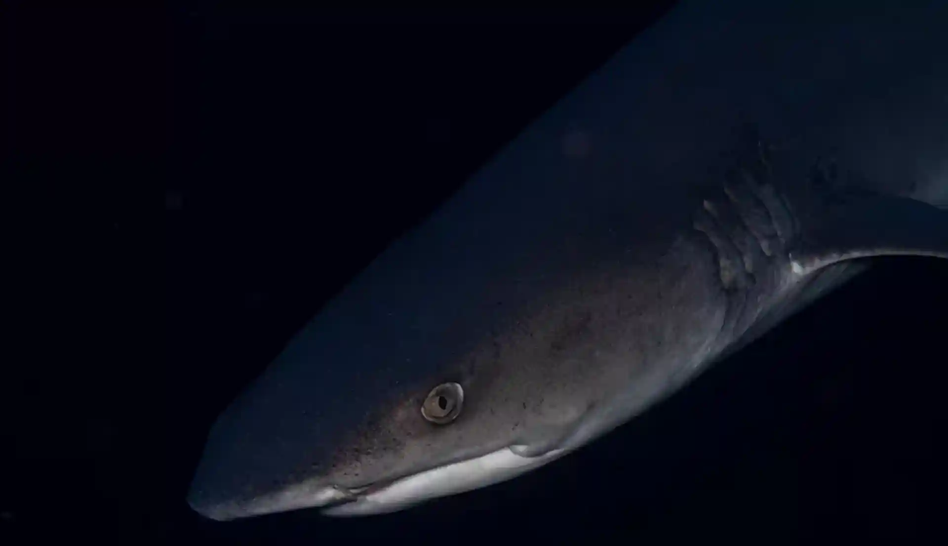 Foto des Tauchplatzes