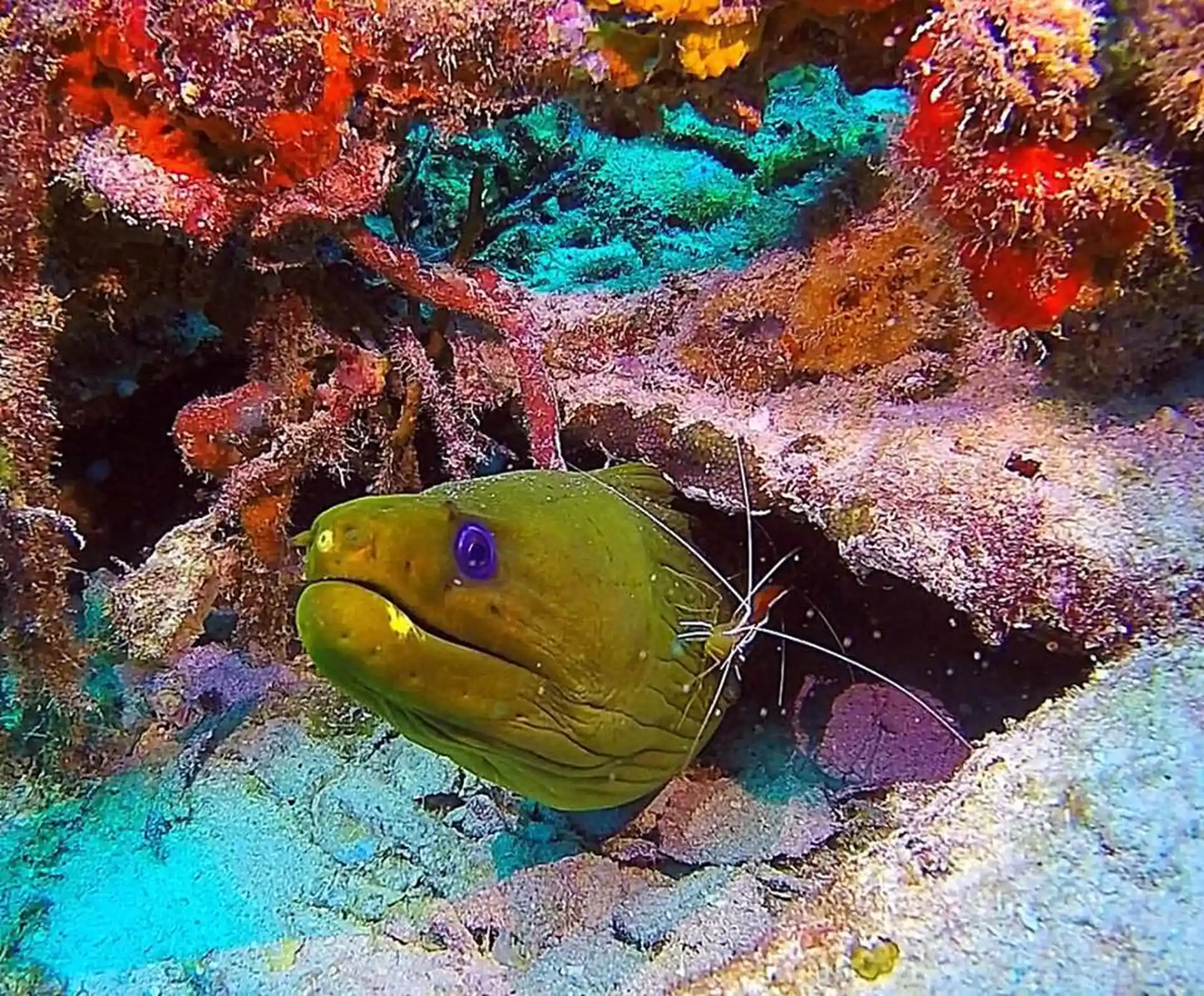 ダイビングサイトの写真