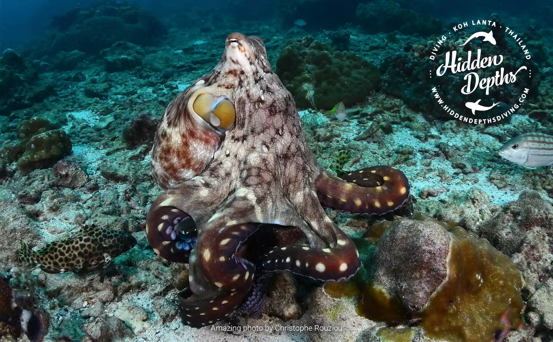 다이빙 포인트 사진