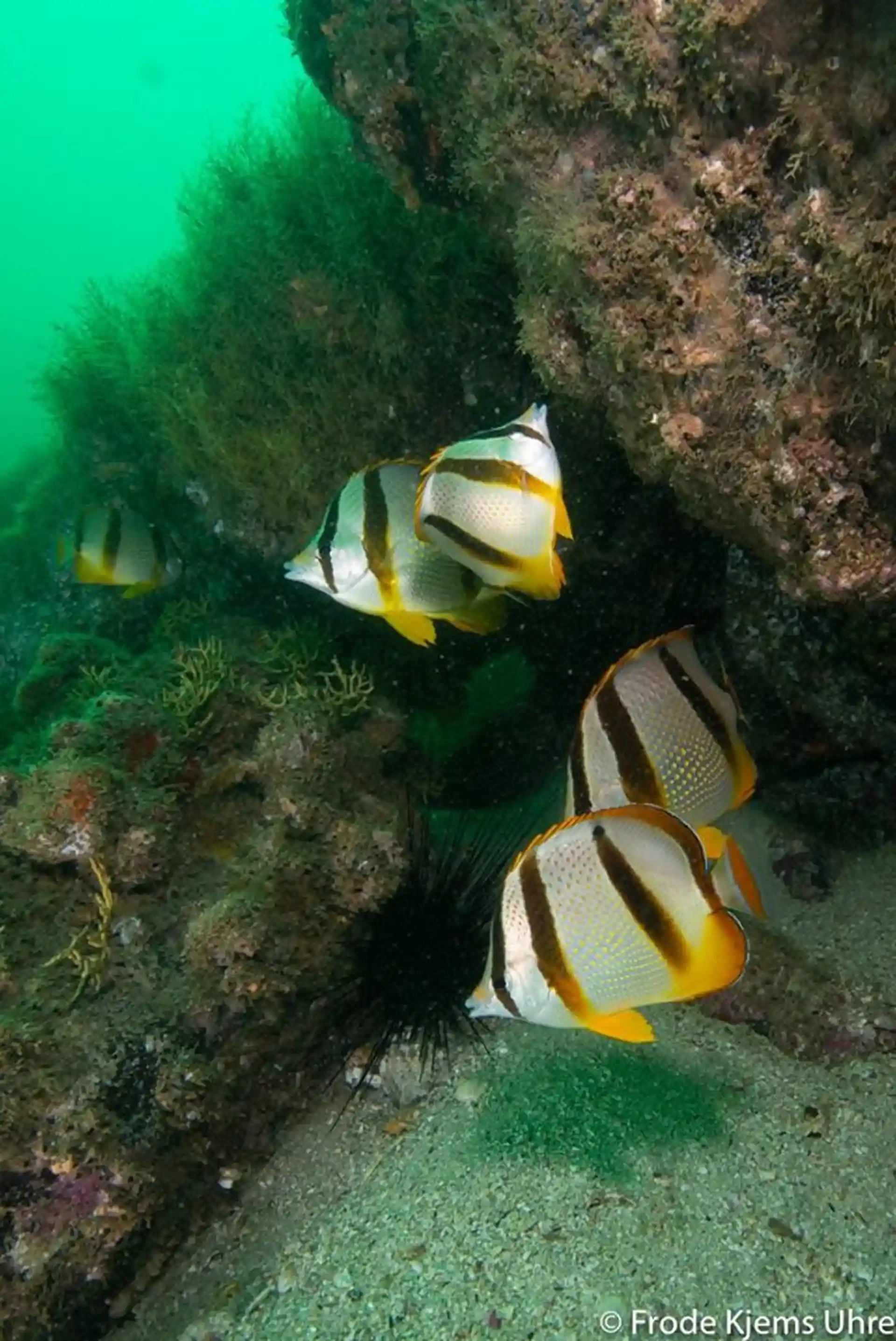 Foto de la actividad