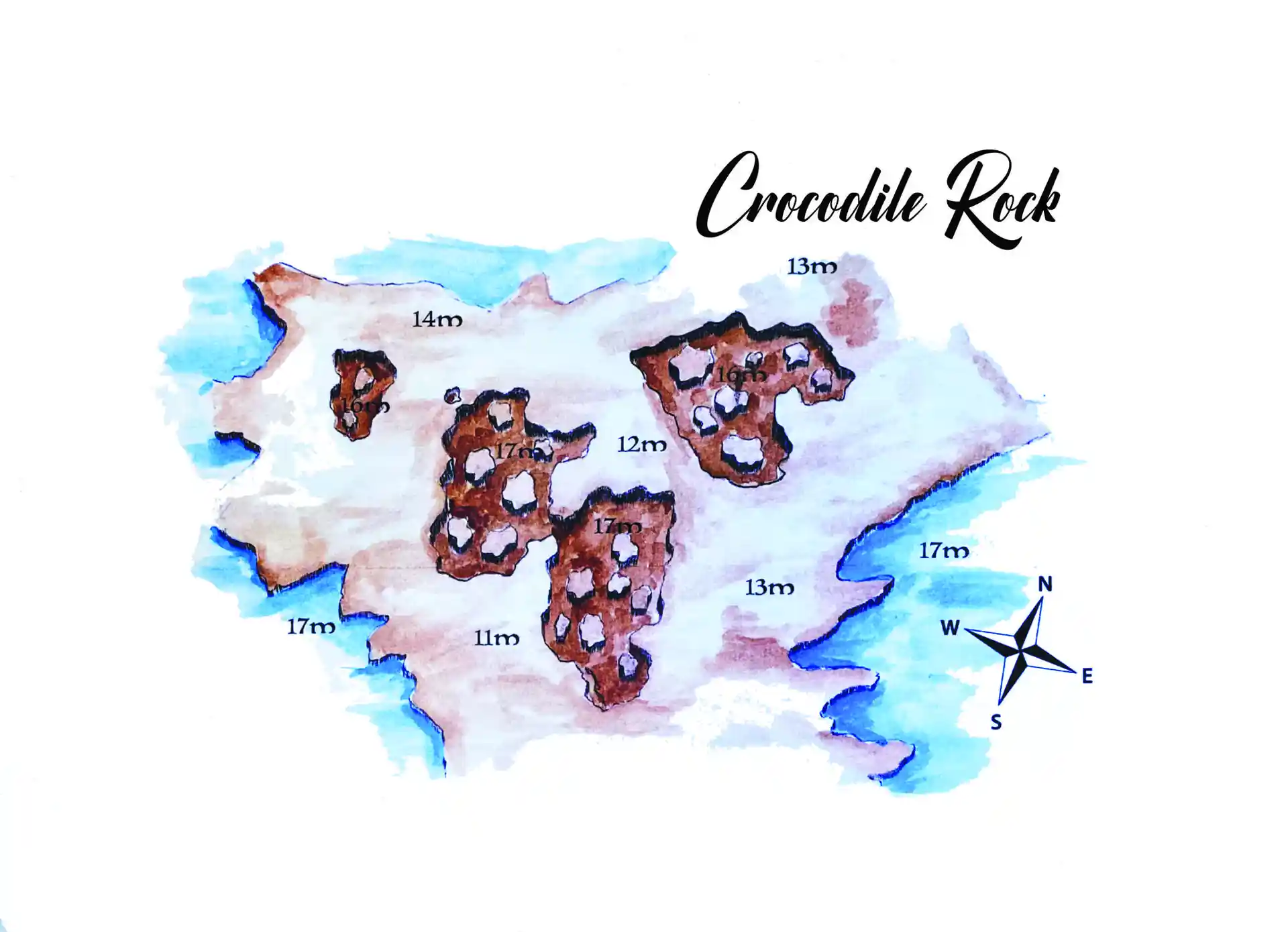 ダイビングサイトの写真