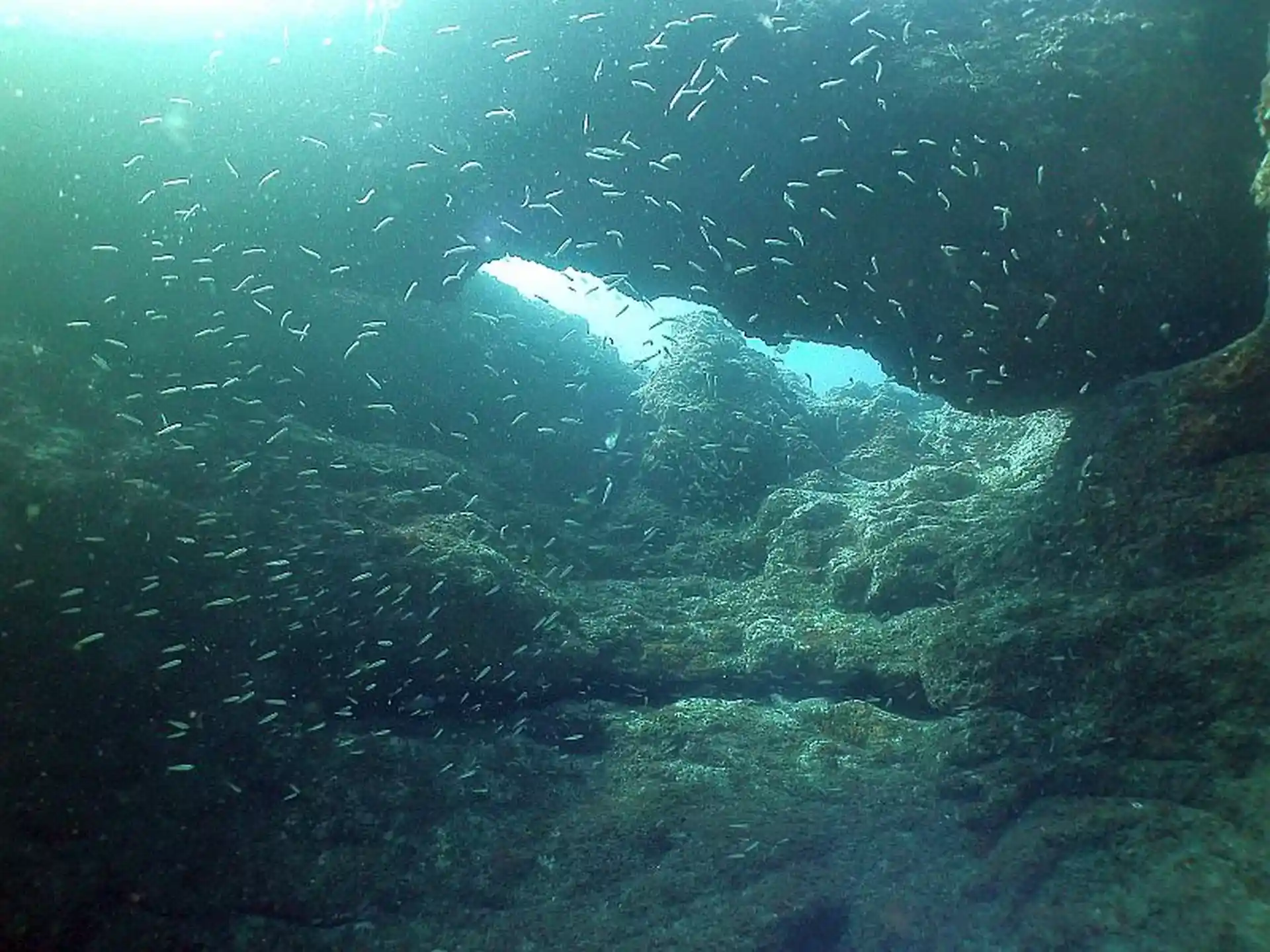 다이빙 포인트 사진