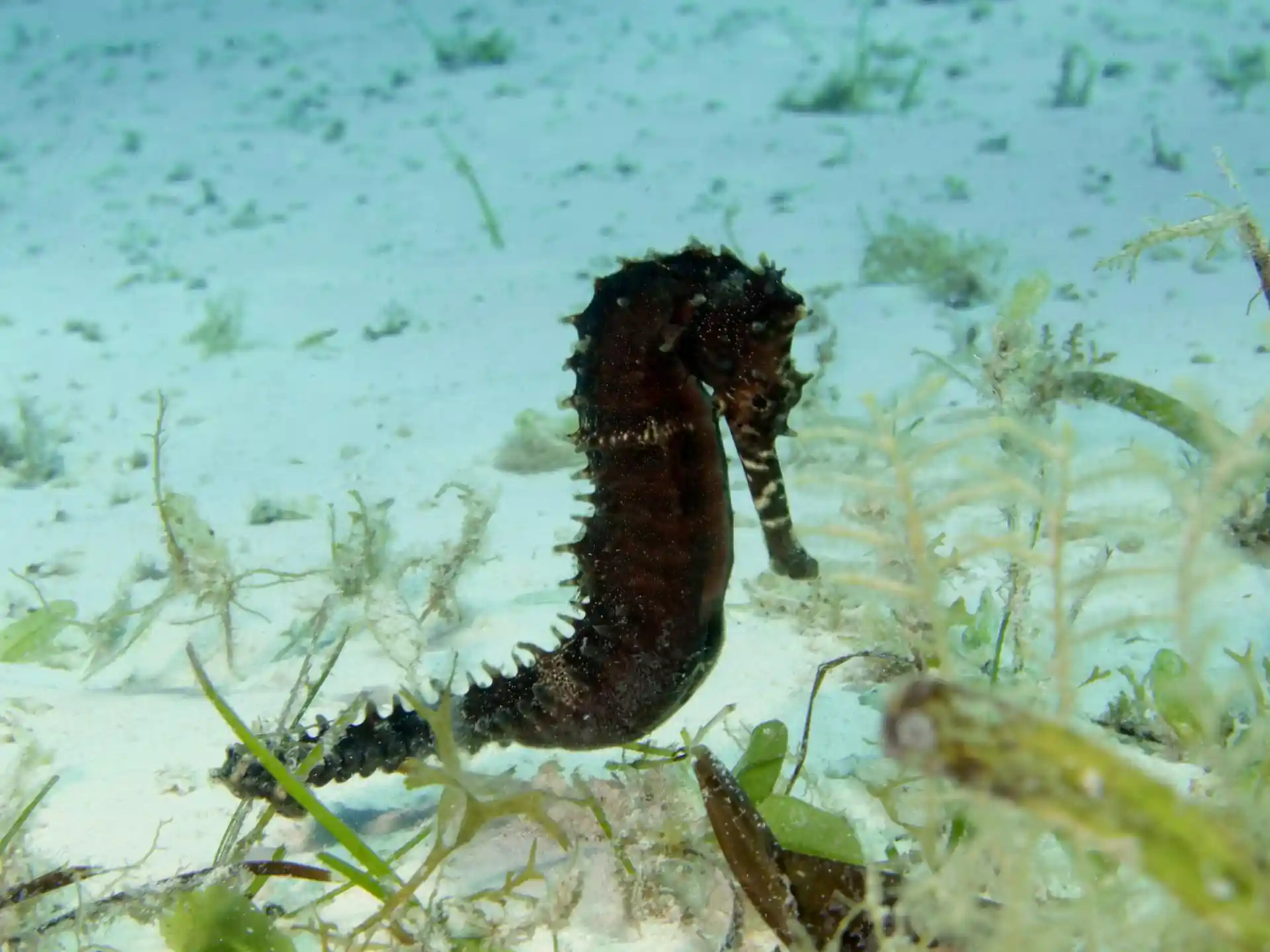 Dive site photo