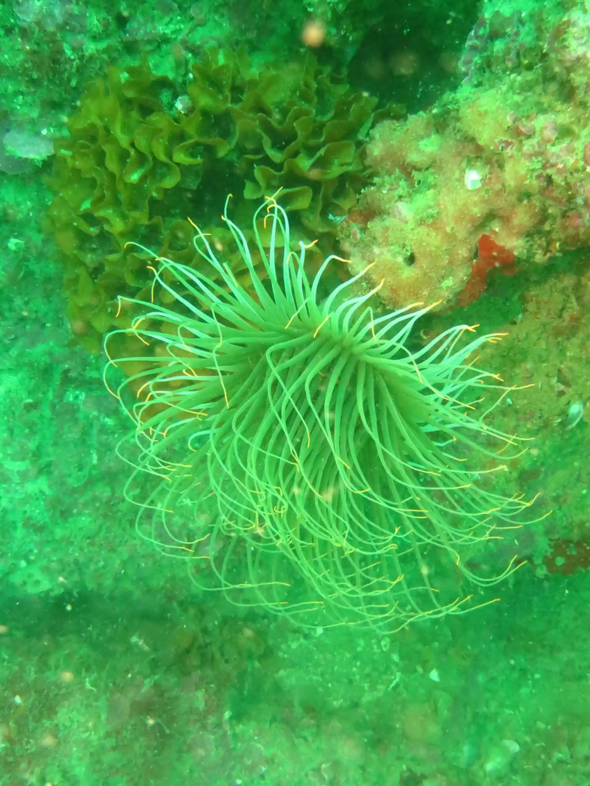 Foto des Tauchplatzes