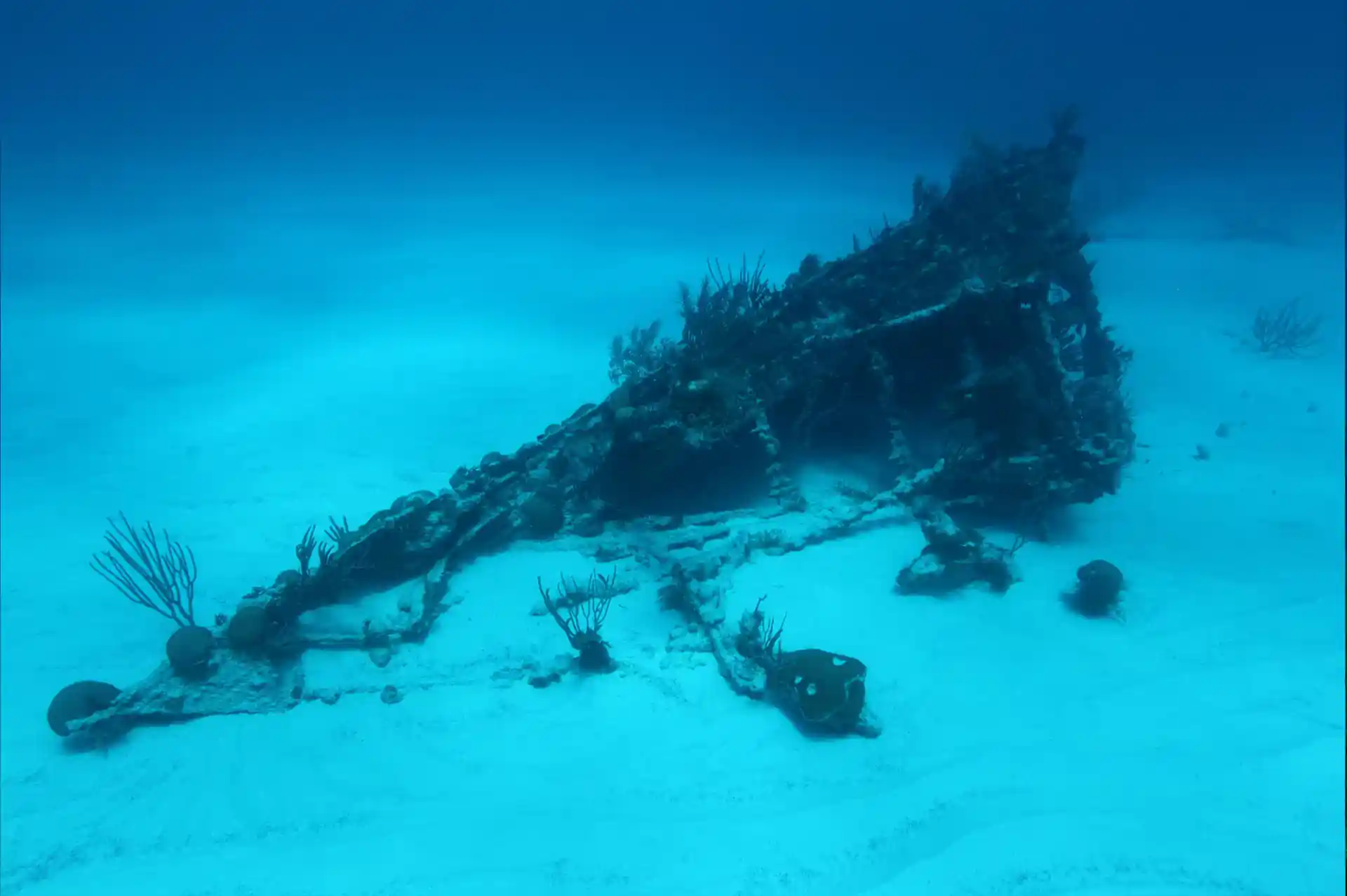 다이빙 포인트 사진