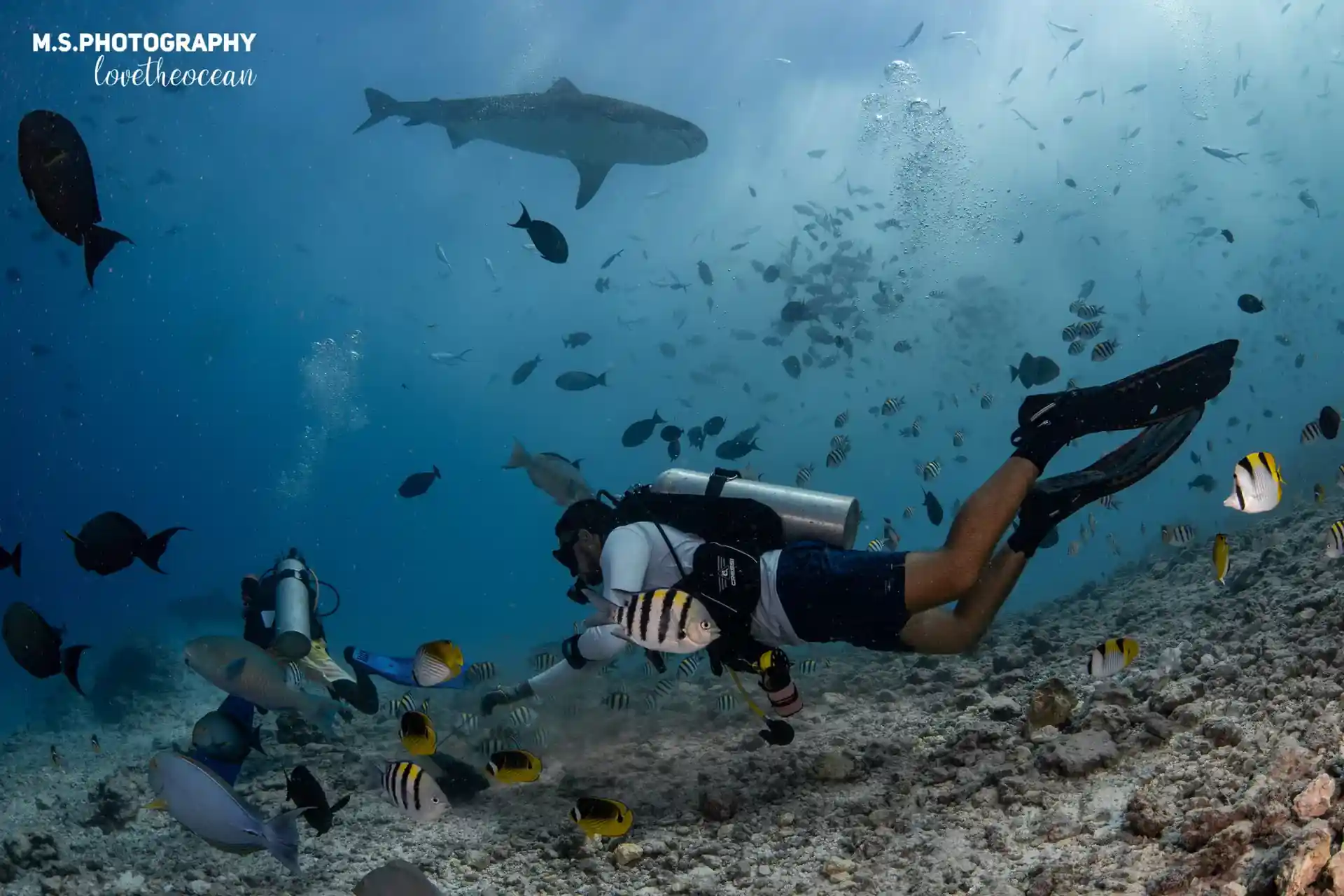 Foto del sitio de buceo