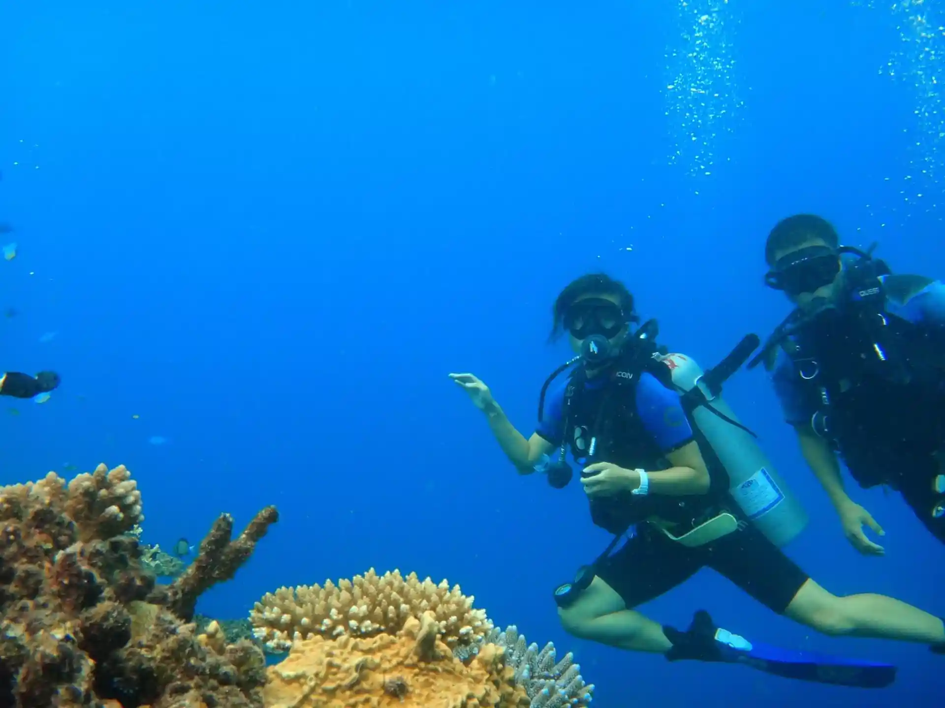 Dive site photo
