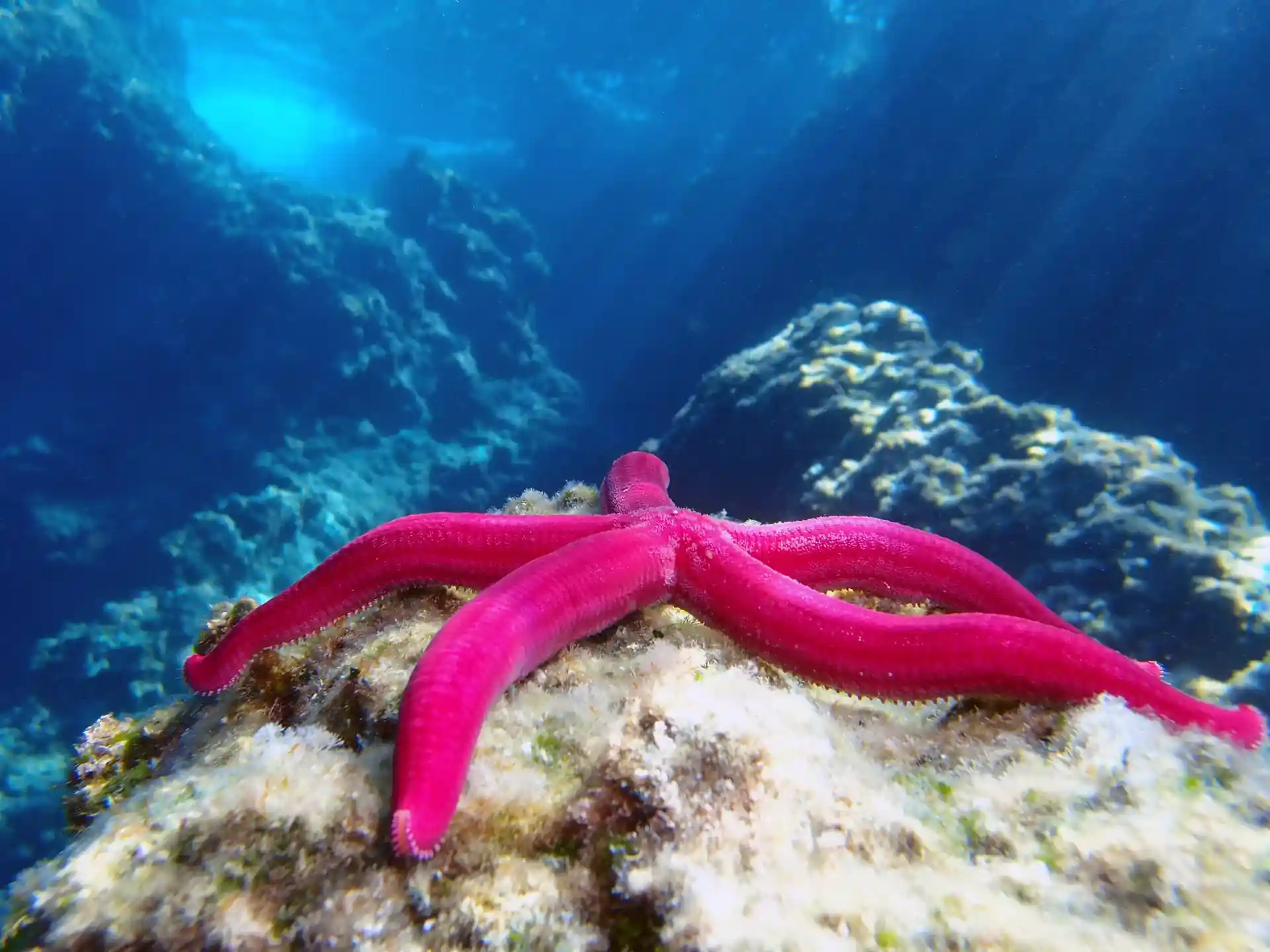 Dive site photo