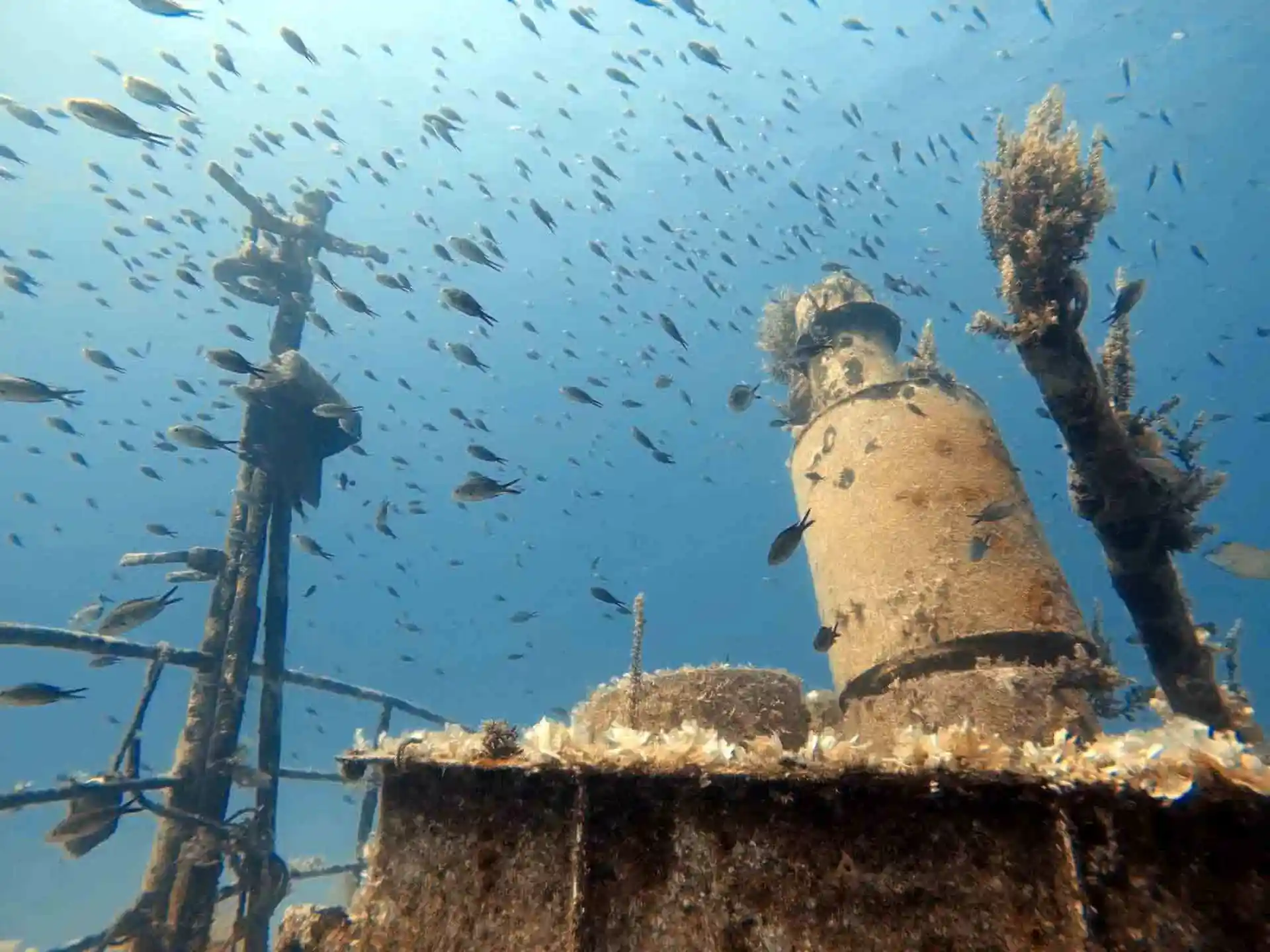 Dive site photo