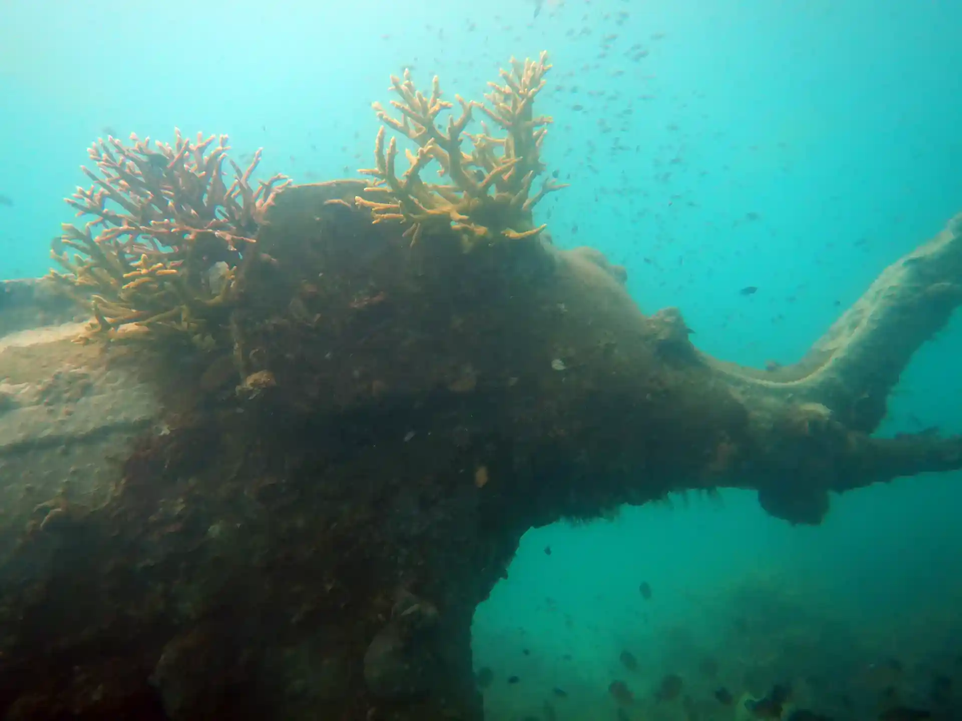 ダイビングサイトの写真