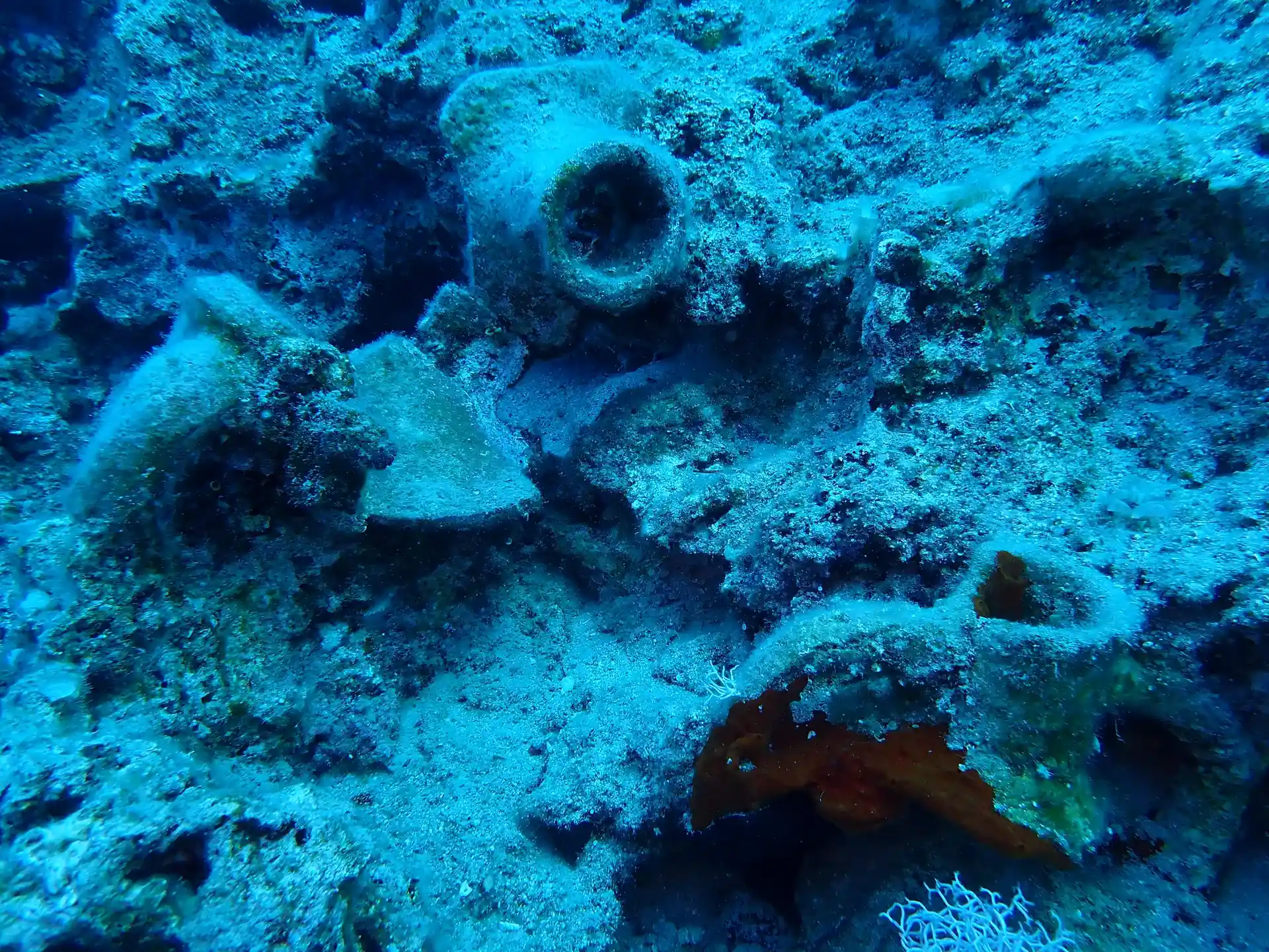 Dive site photo
