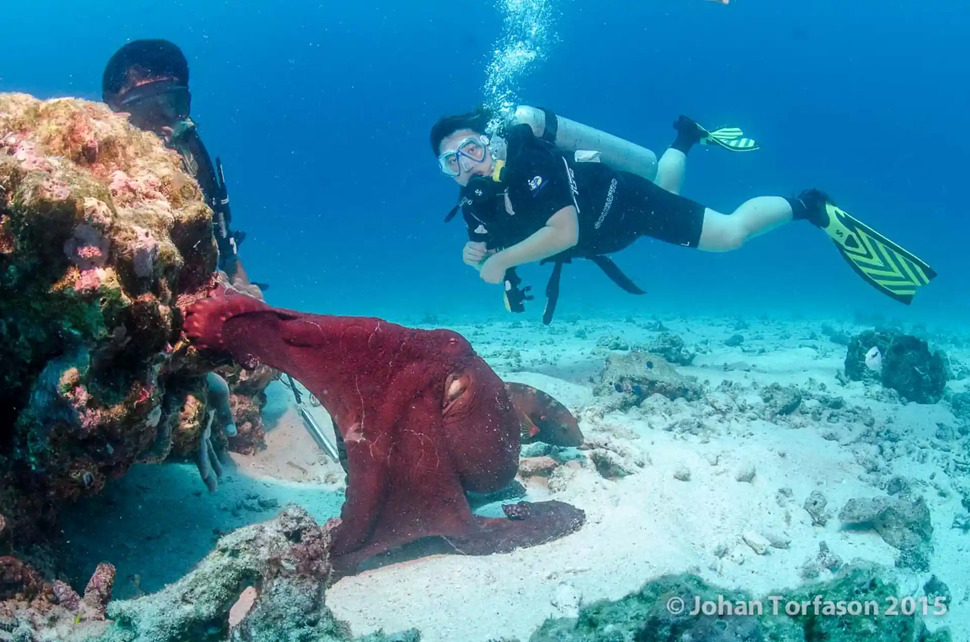 Diving with nitrox gives us more bottom time to see the great marine life.