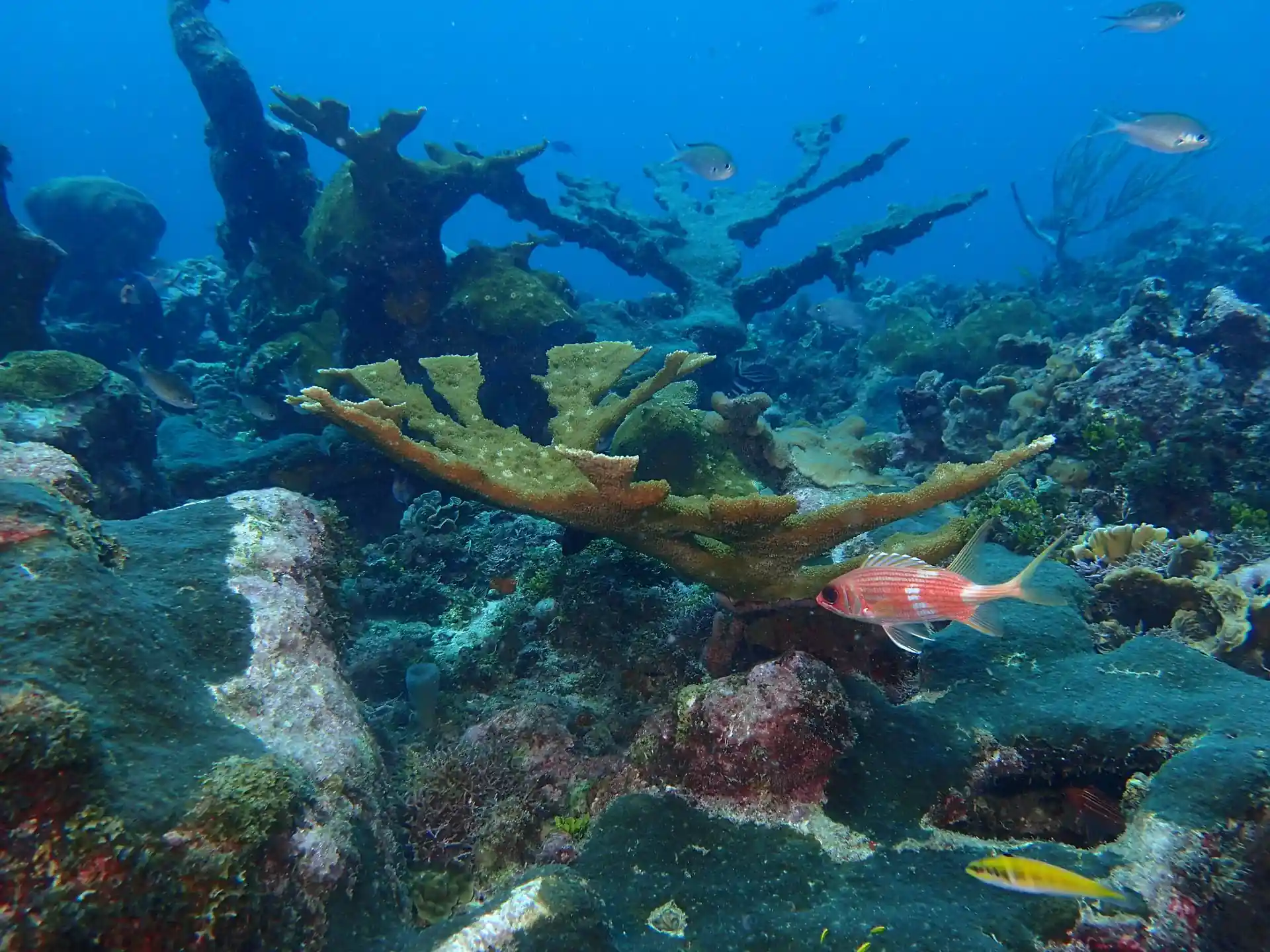 Dive site photo