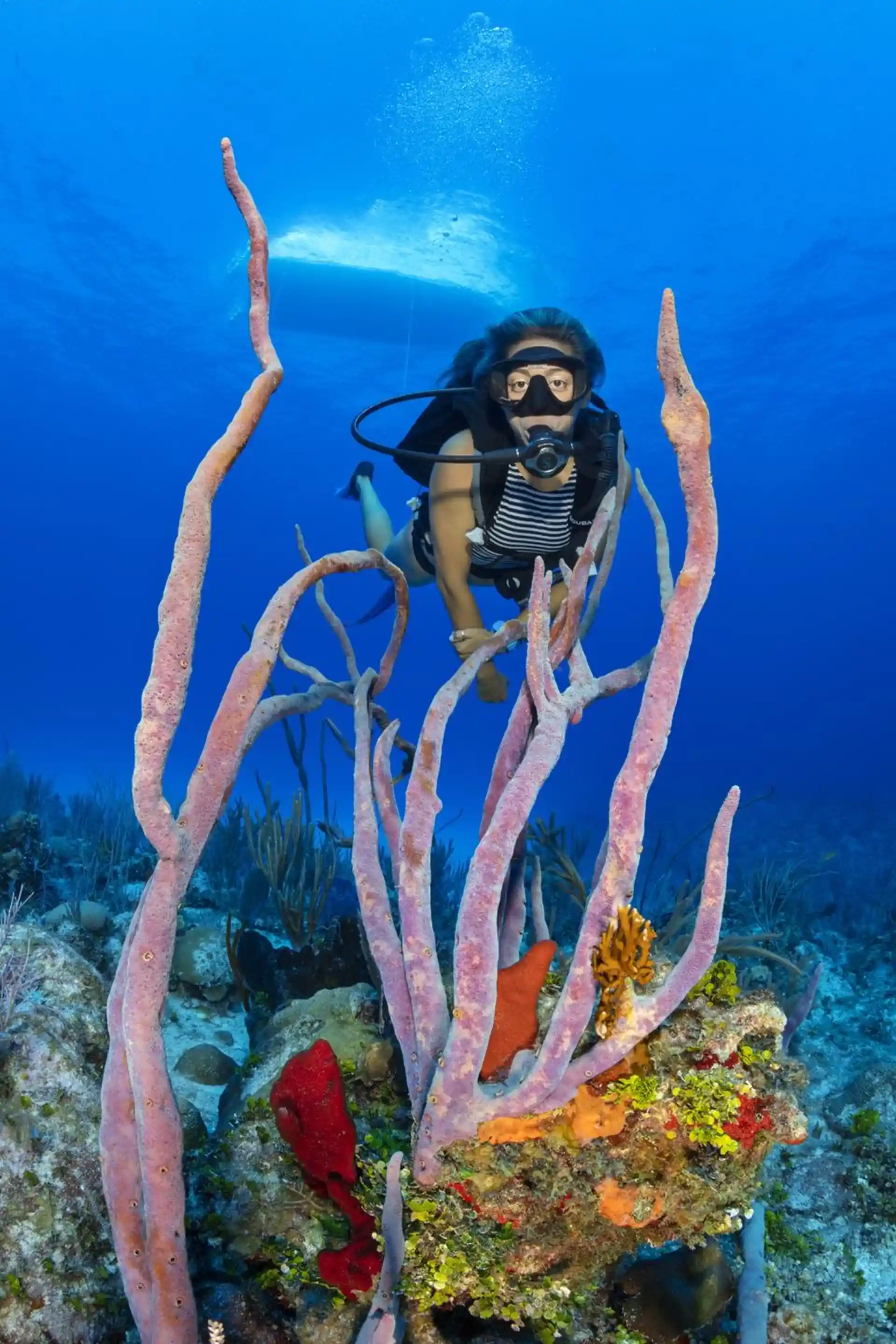 Dive site photo