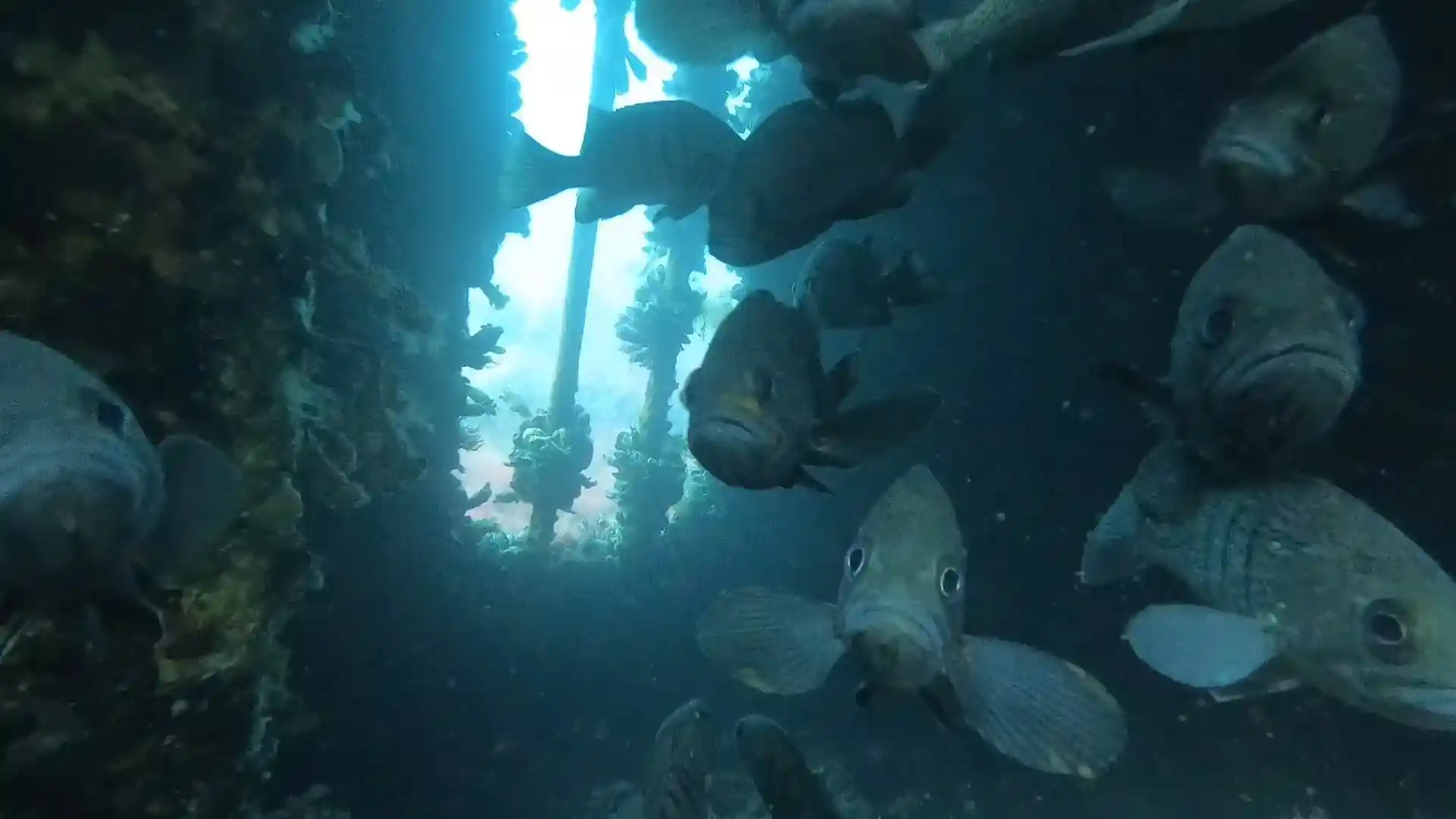 Dive site photo