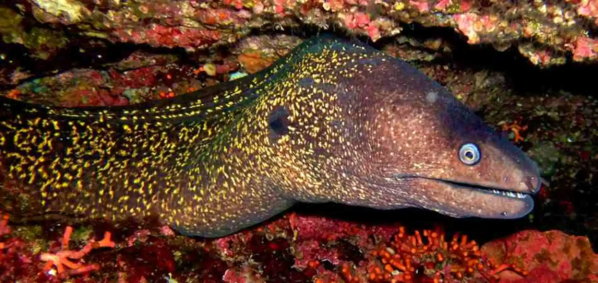 Dive site photo