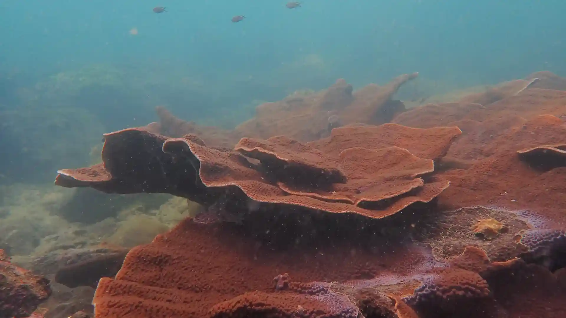 다이빙 포인트 사진