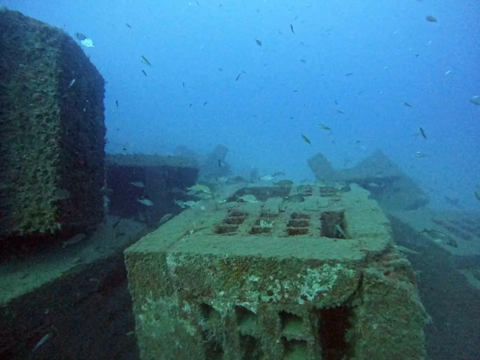 Arrecife Artificial en Aguadulce