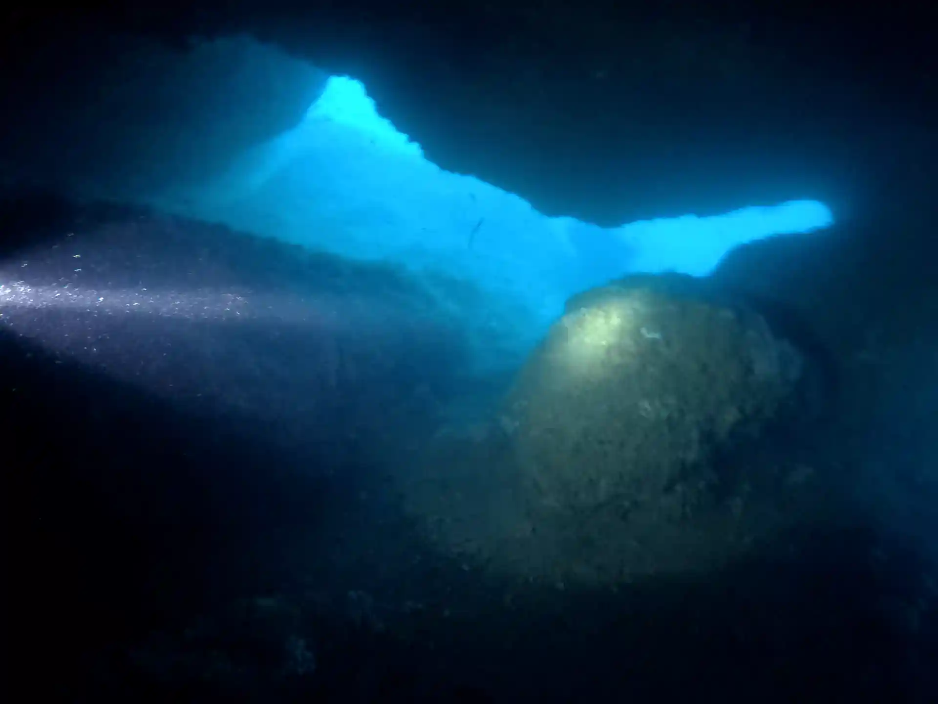 Foto de la actividad