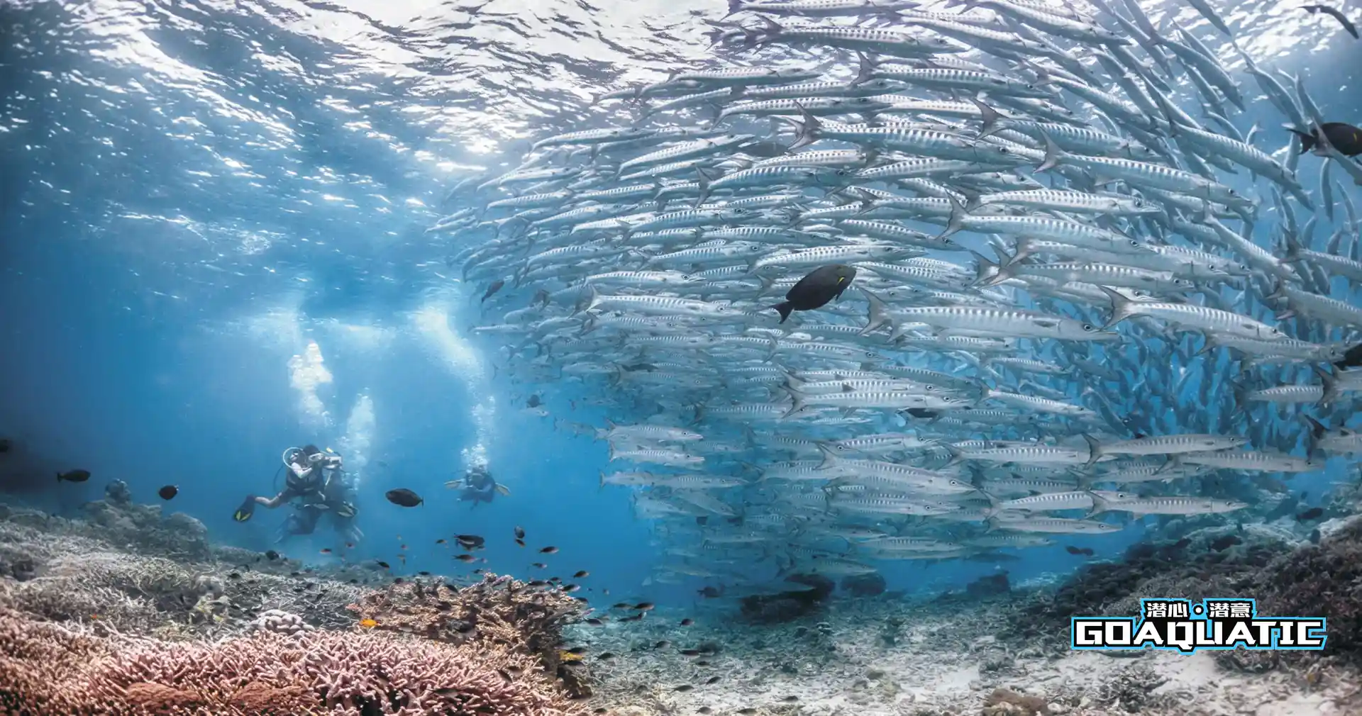 The ocean is calling.... you must go!