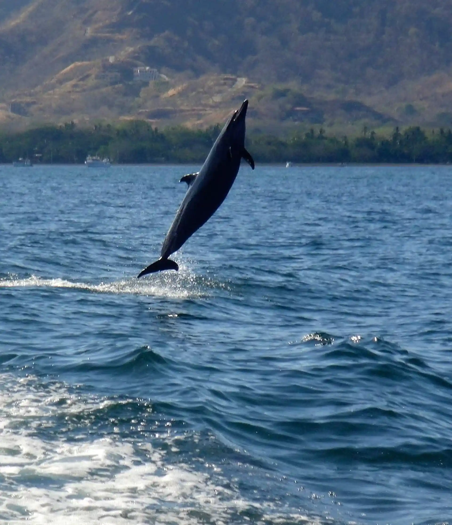 ダイビングサイトの写真