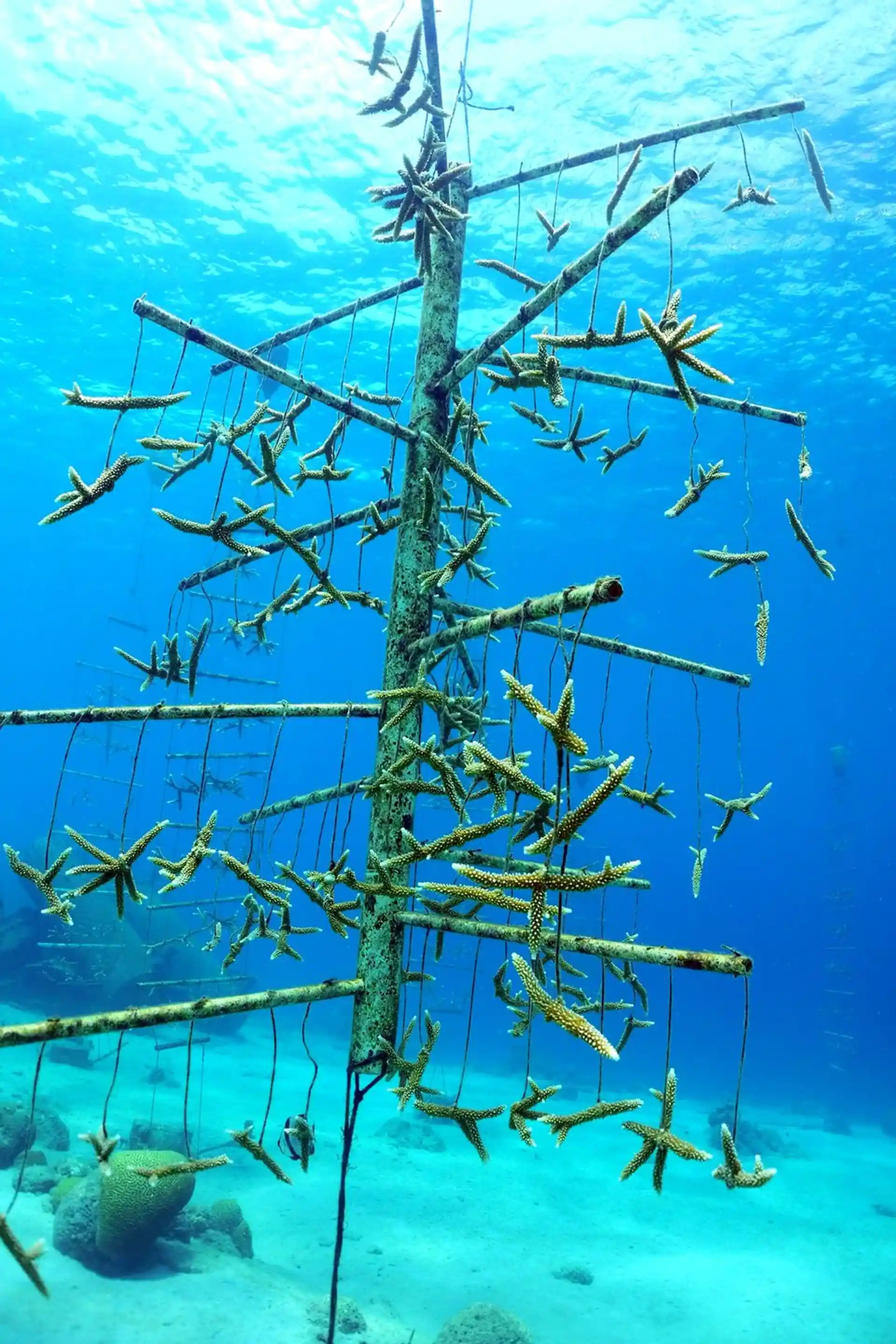 Dive site photo