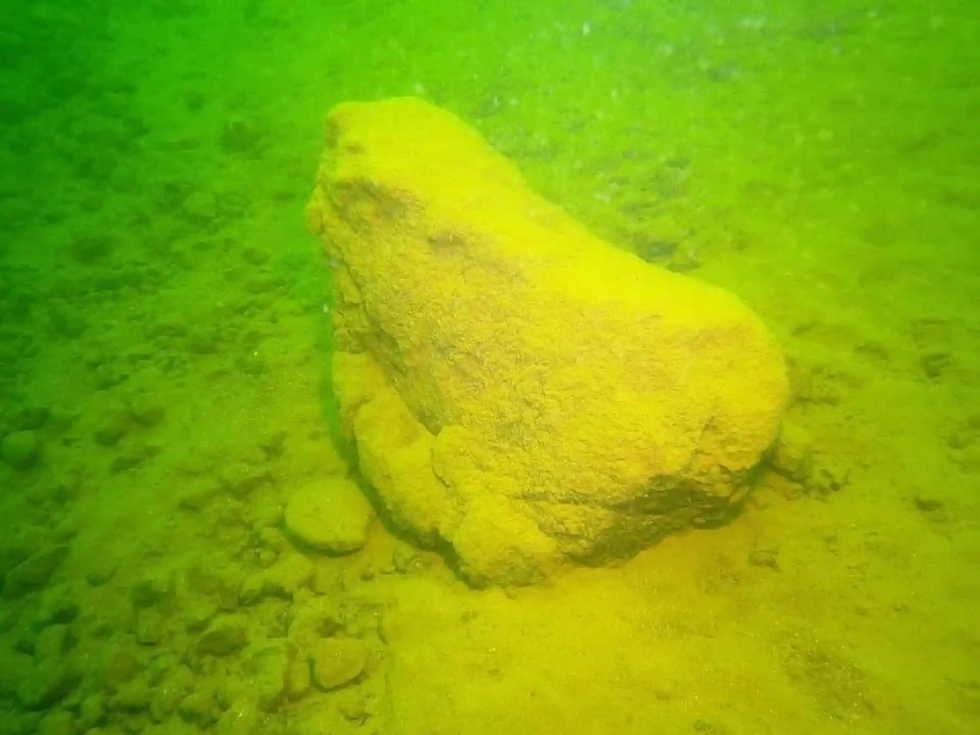 Dive site photo