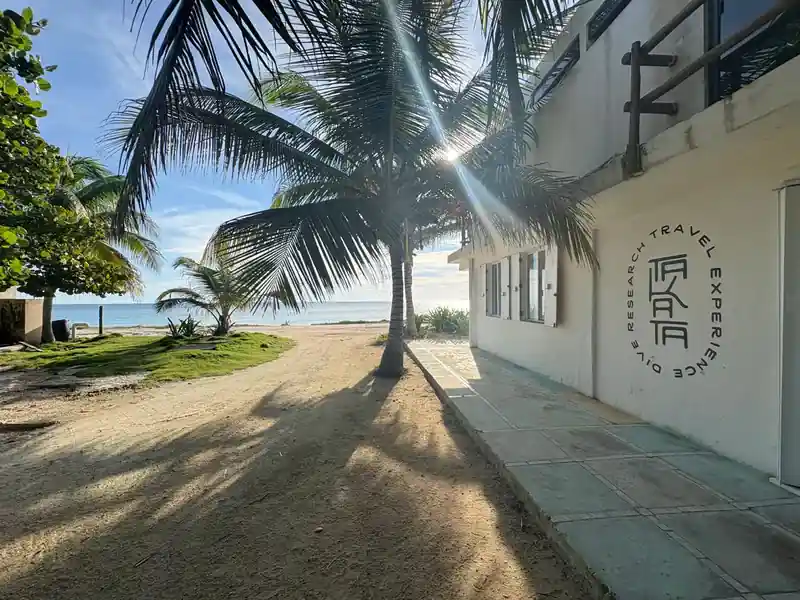 Dive operator picture