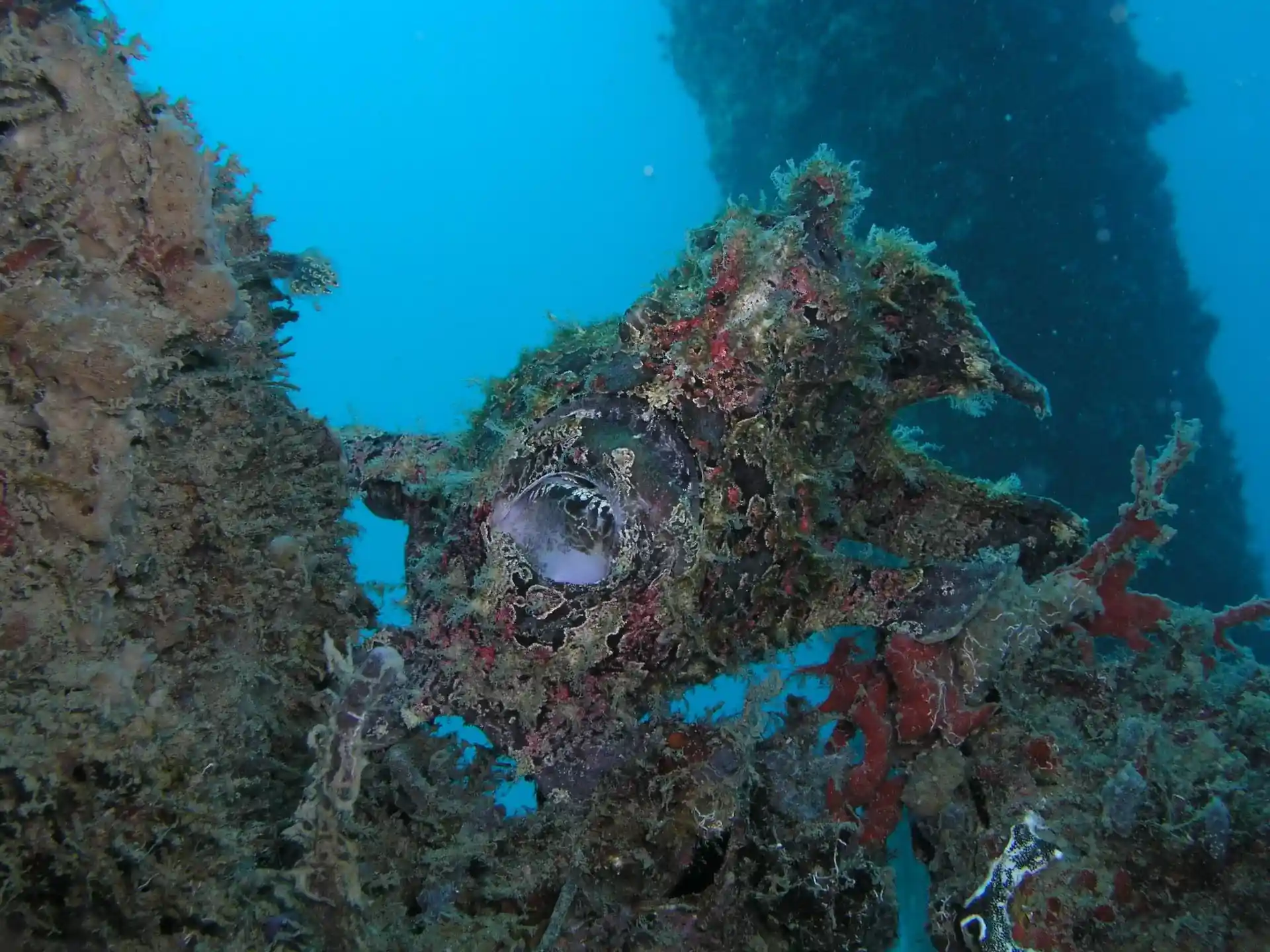 Dive site photo
