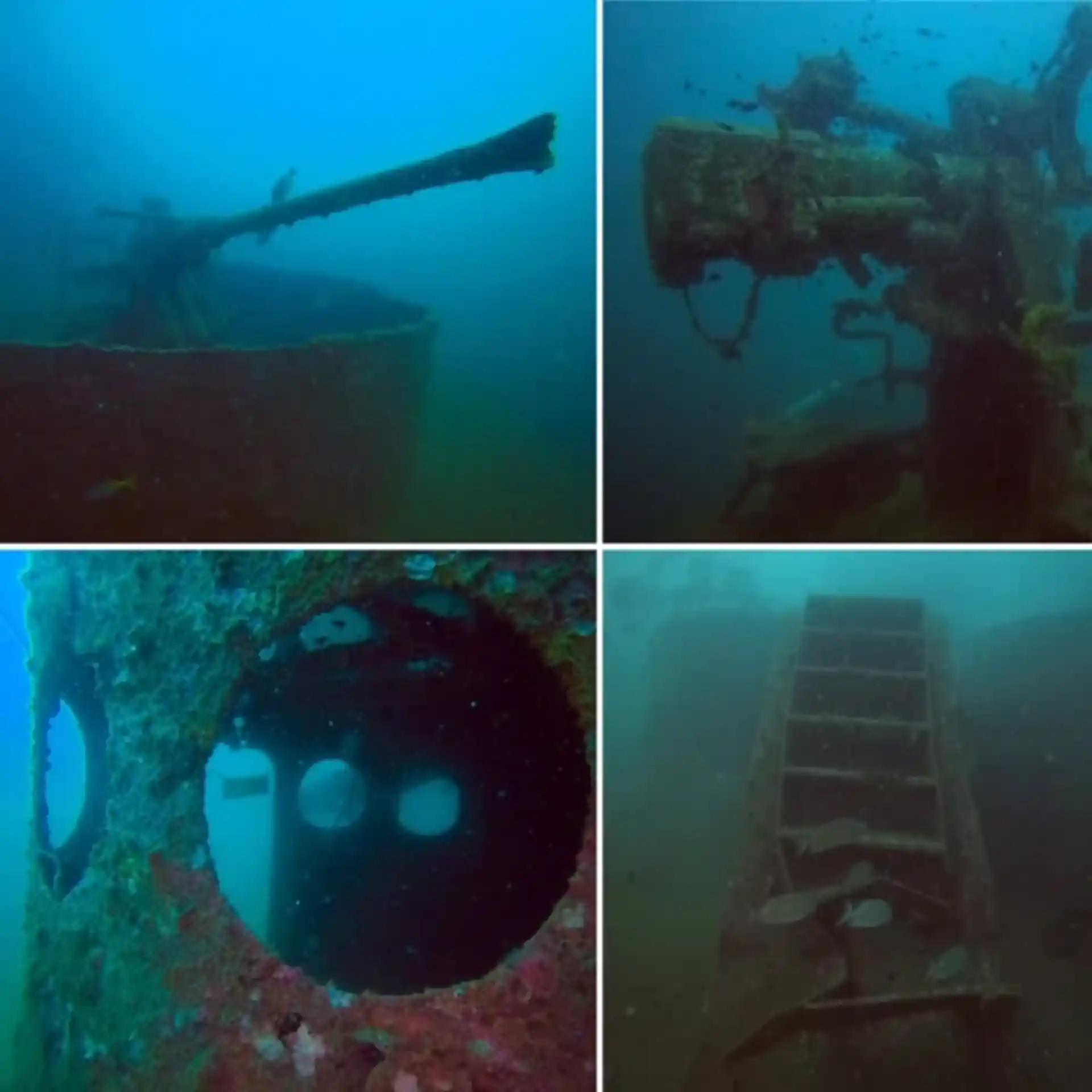 Photo de l'activité