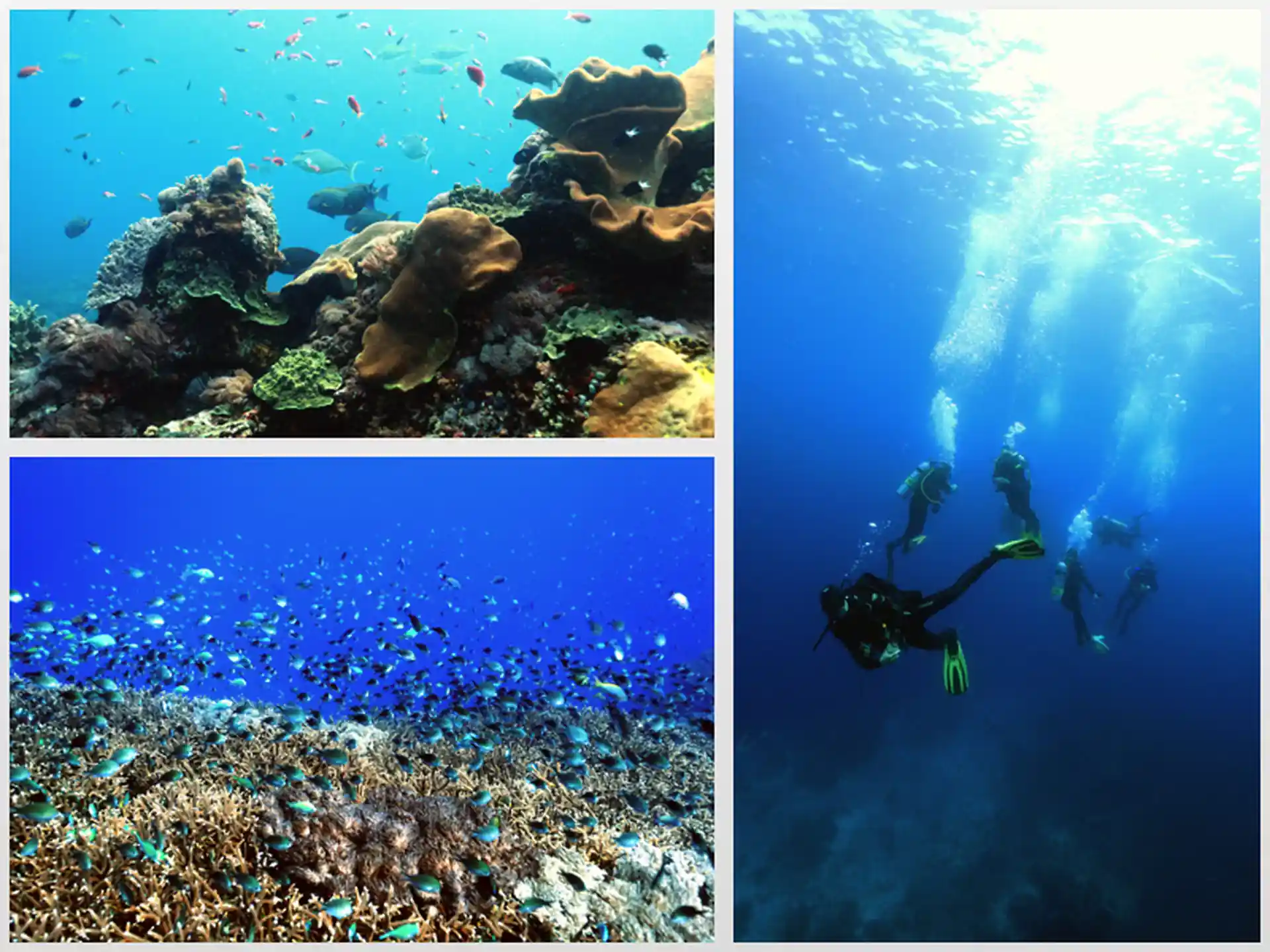 Photo du site de plongée