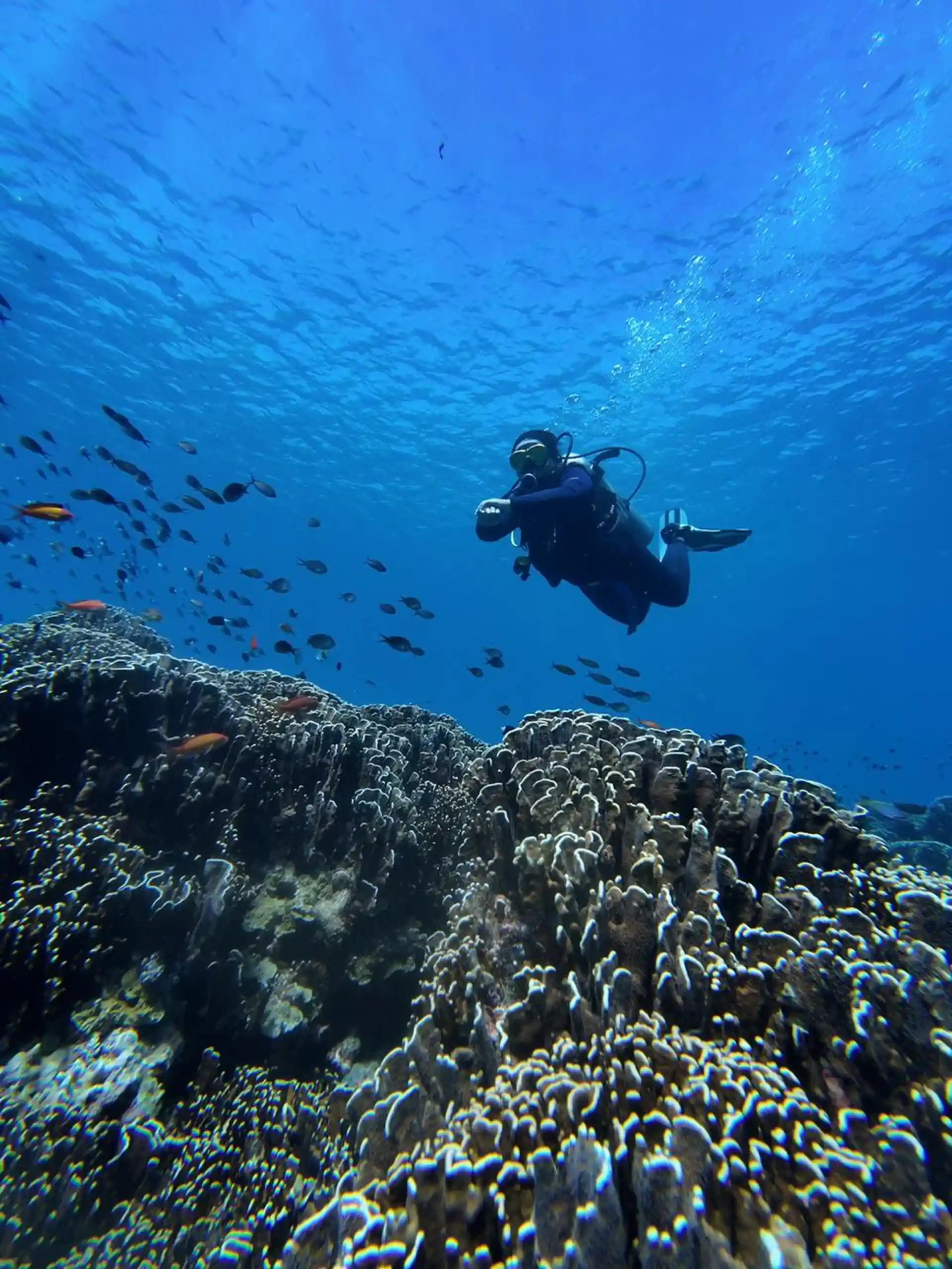 Dive shop photo