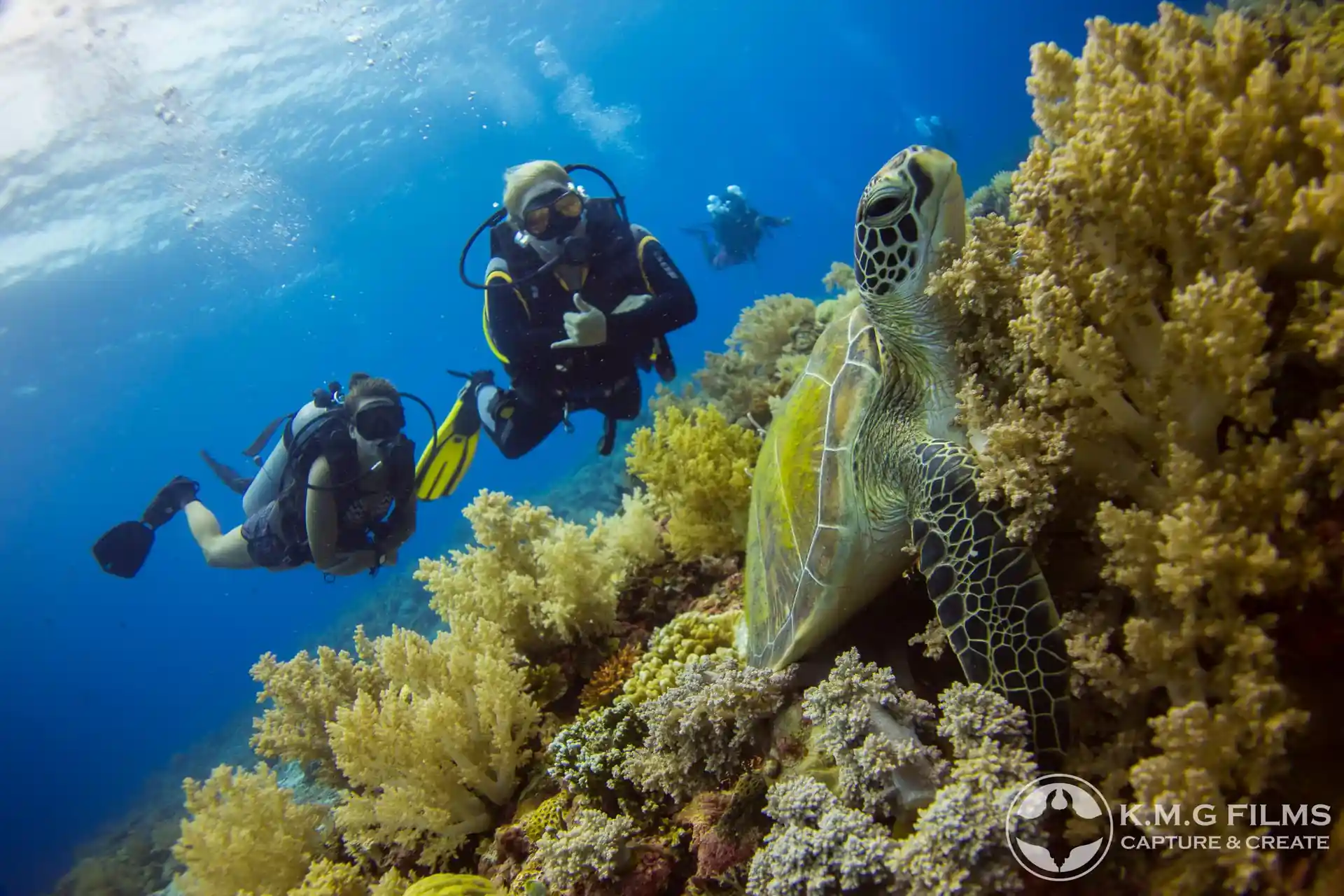 Dive site photo